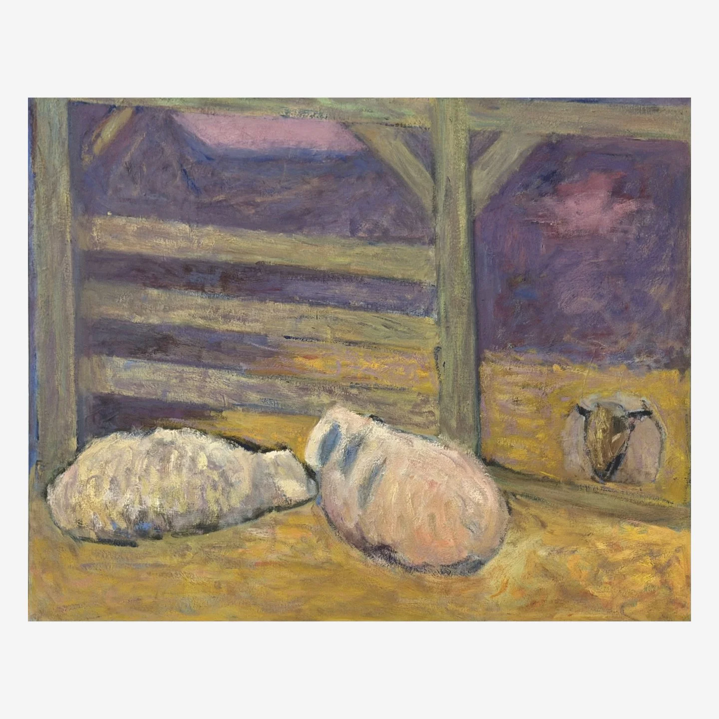 central park zoo: sheep