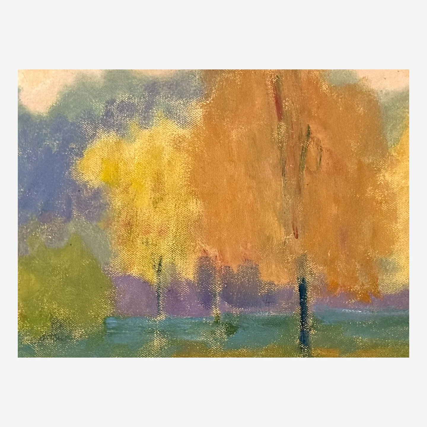 pink sky crop 1.1.jpeg