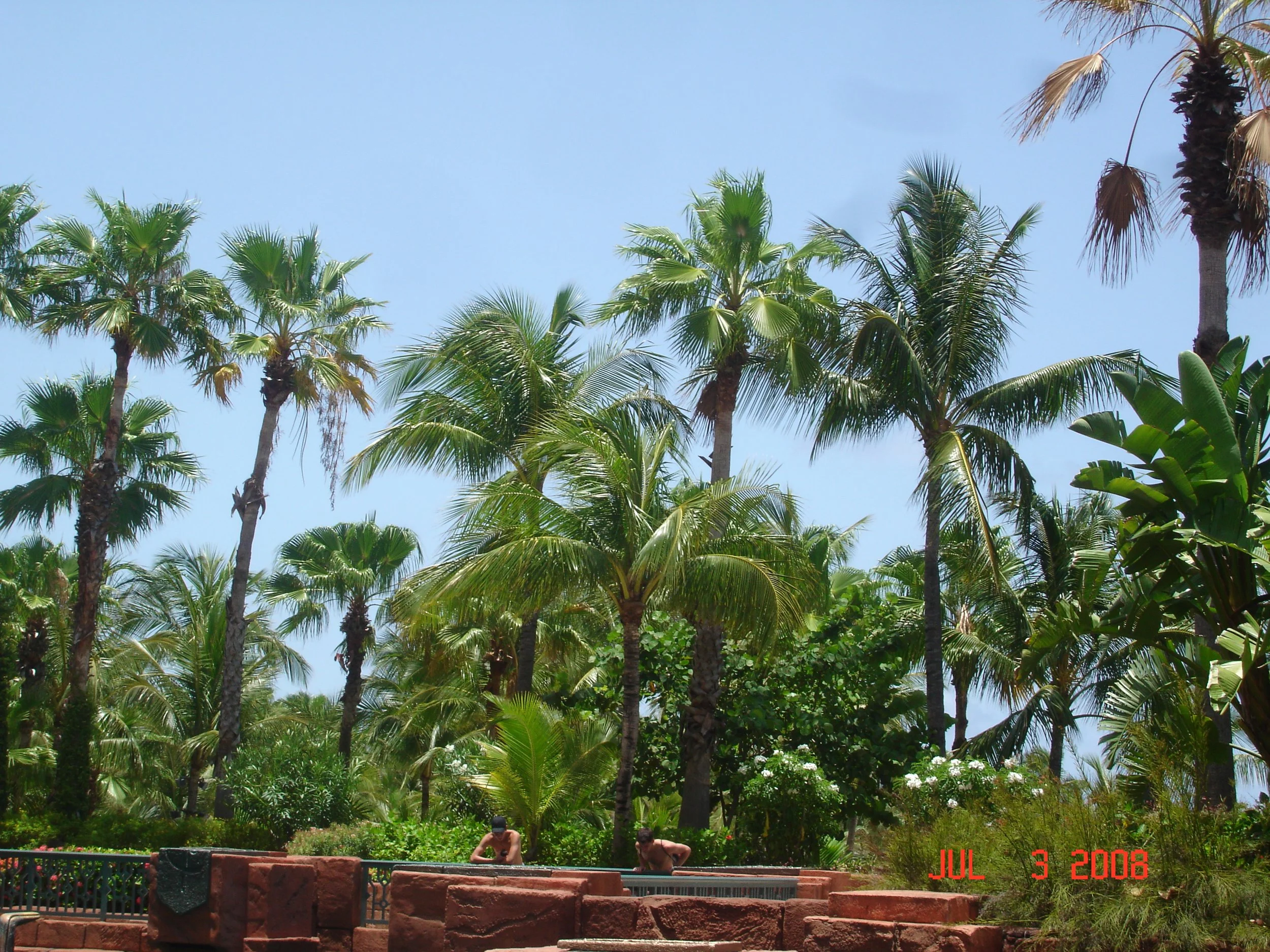 DSC05333.JPG