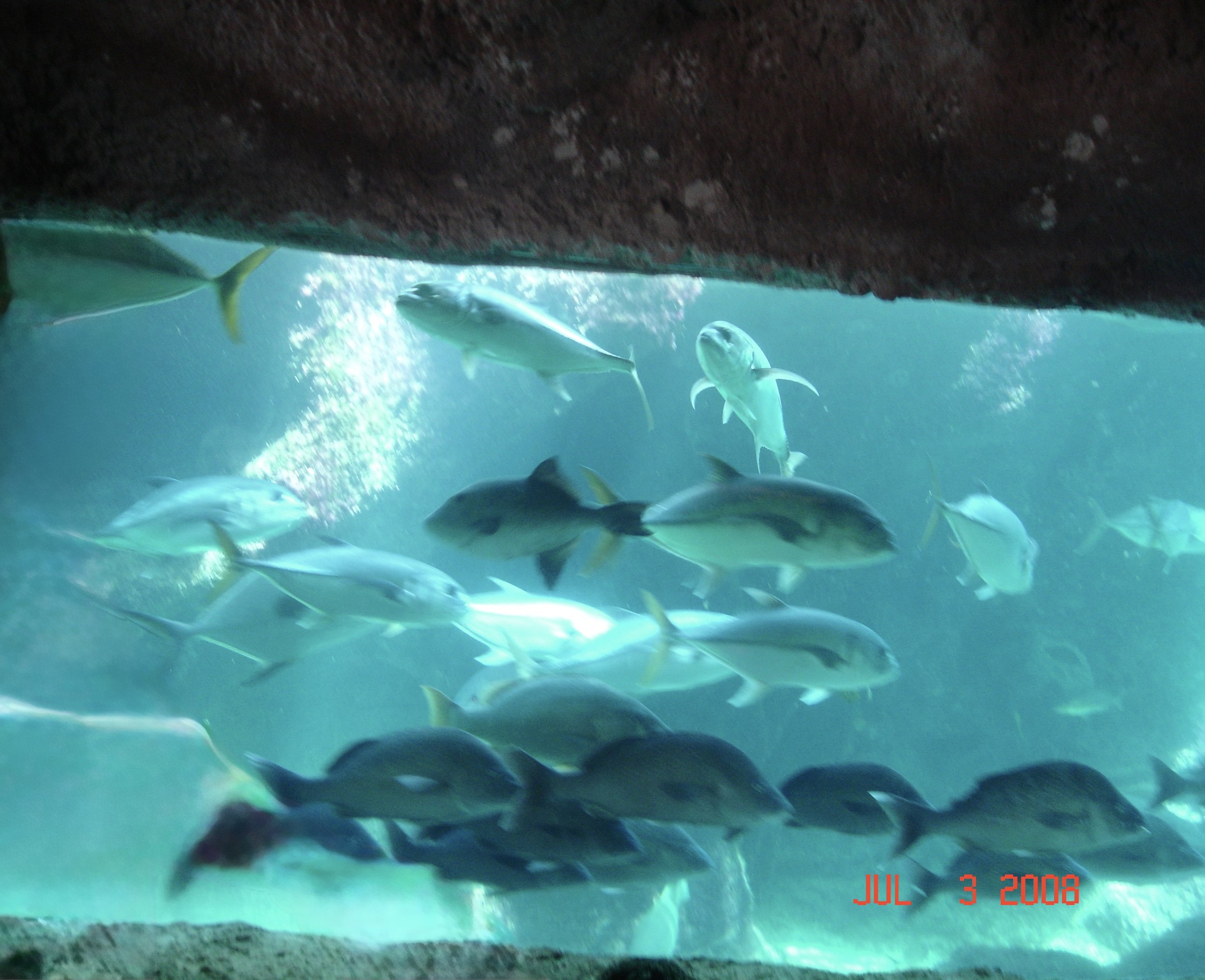 DSC05271.jpg