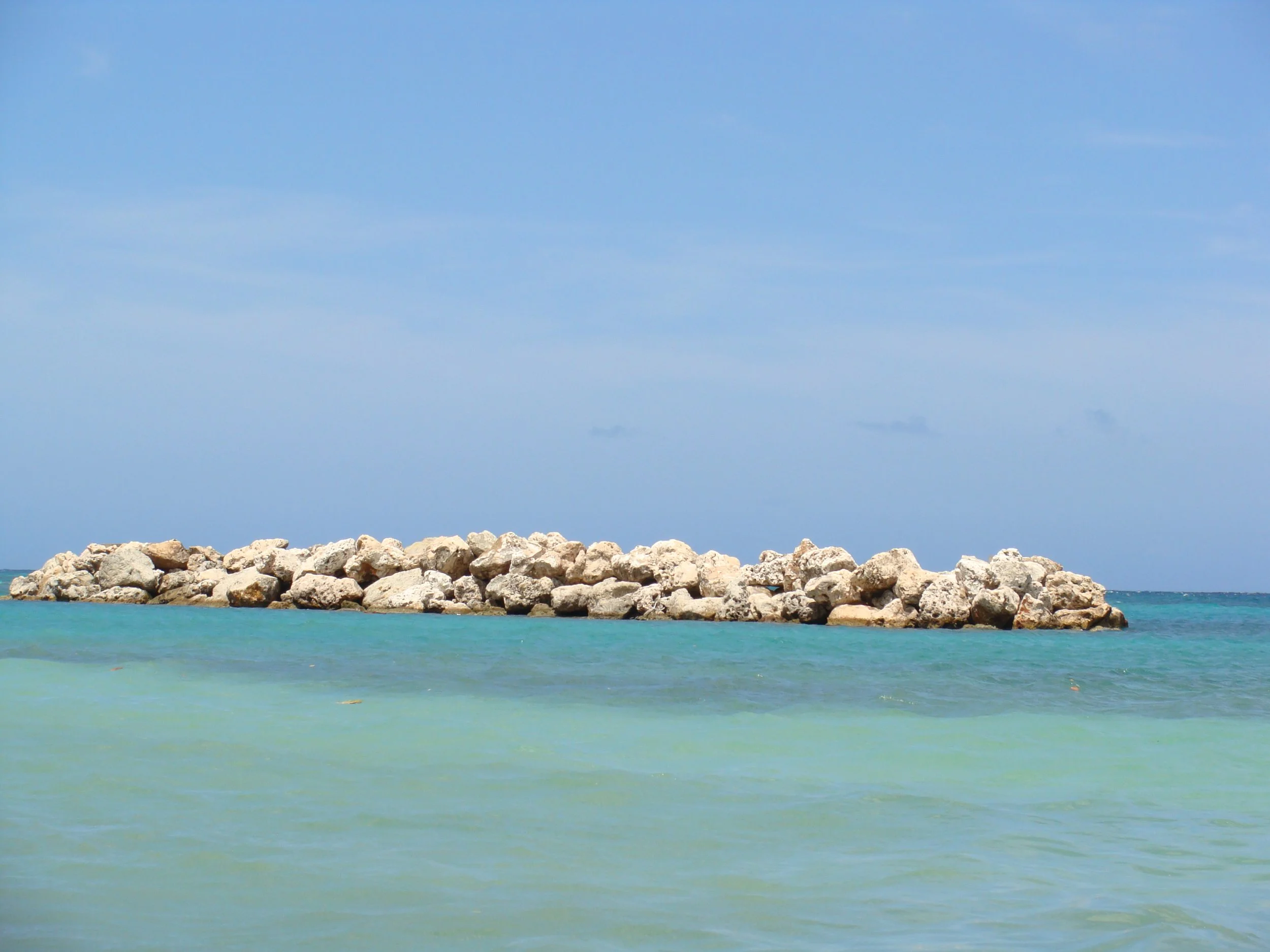 DSC06504.JPG
