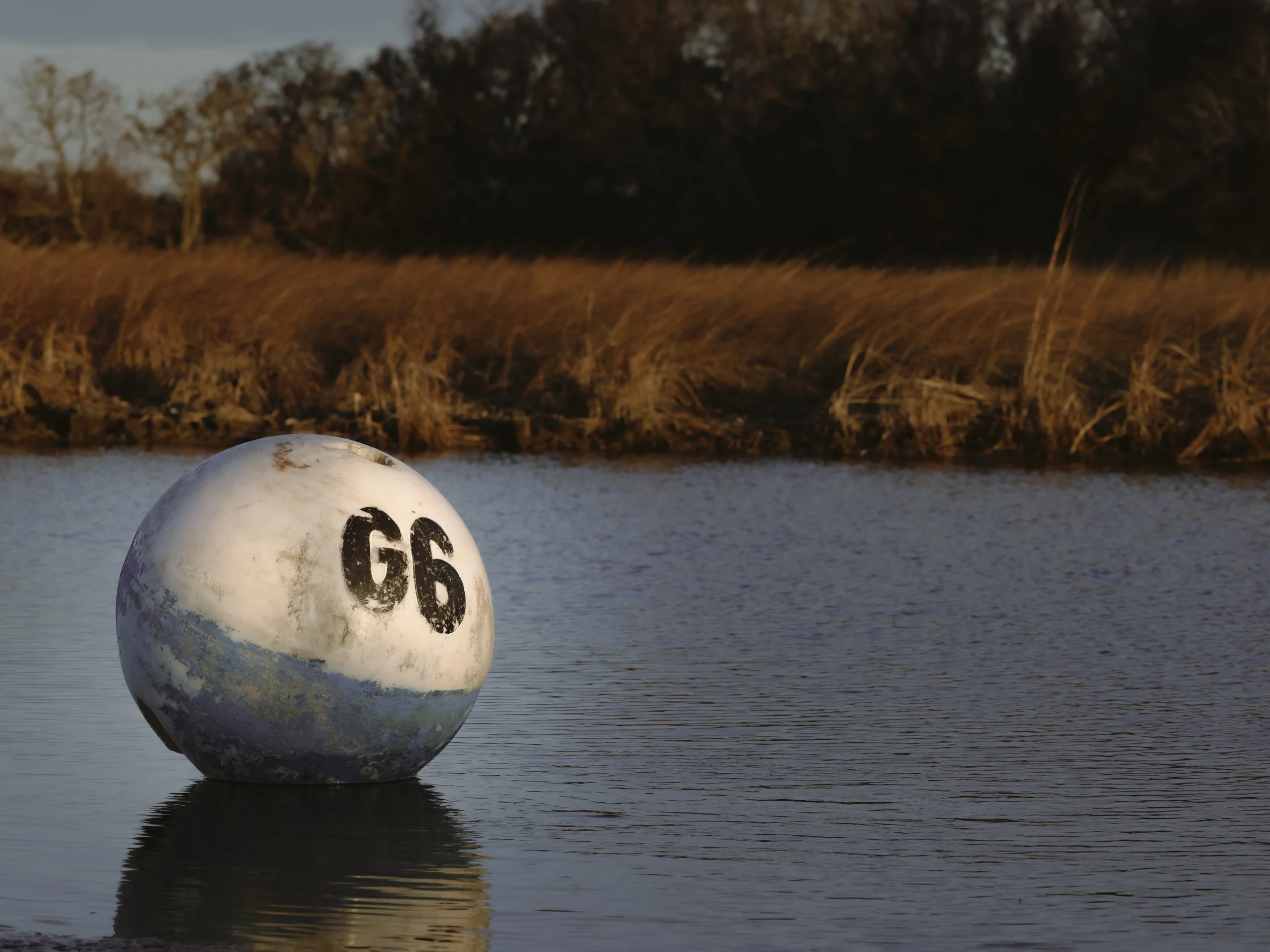 Website Export-1-20.jpg