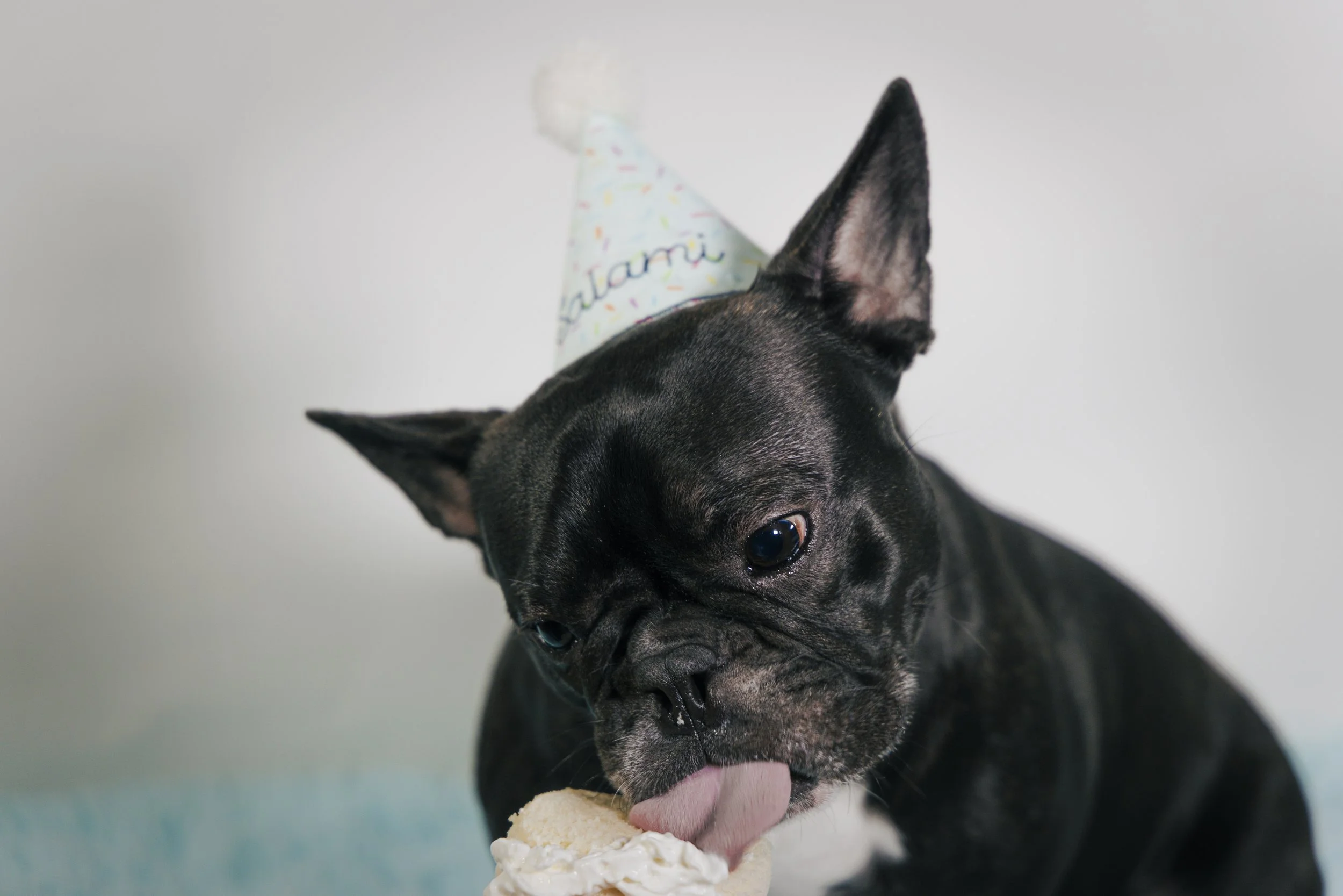 Website Export-1-11.jpg