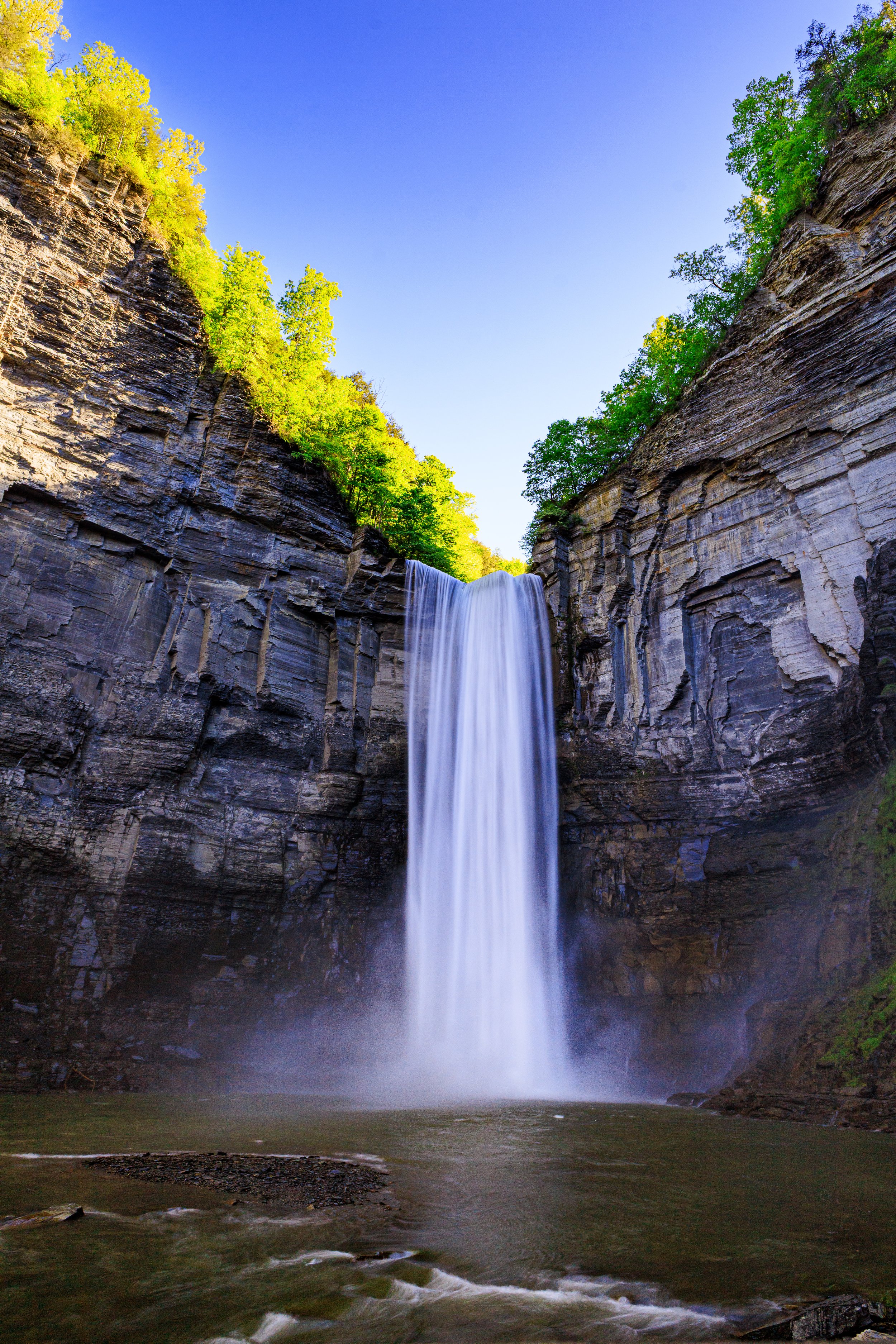 New York State Website Photos-1-4.jpg