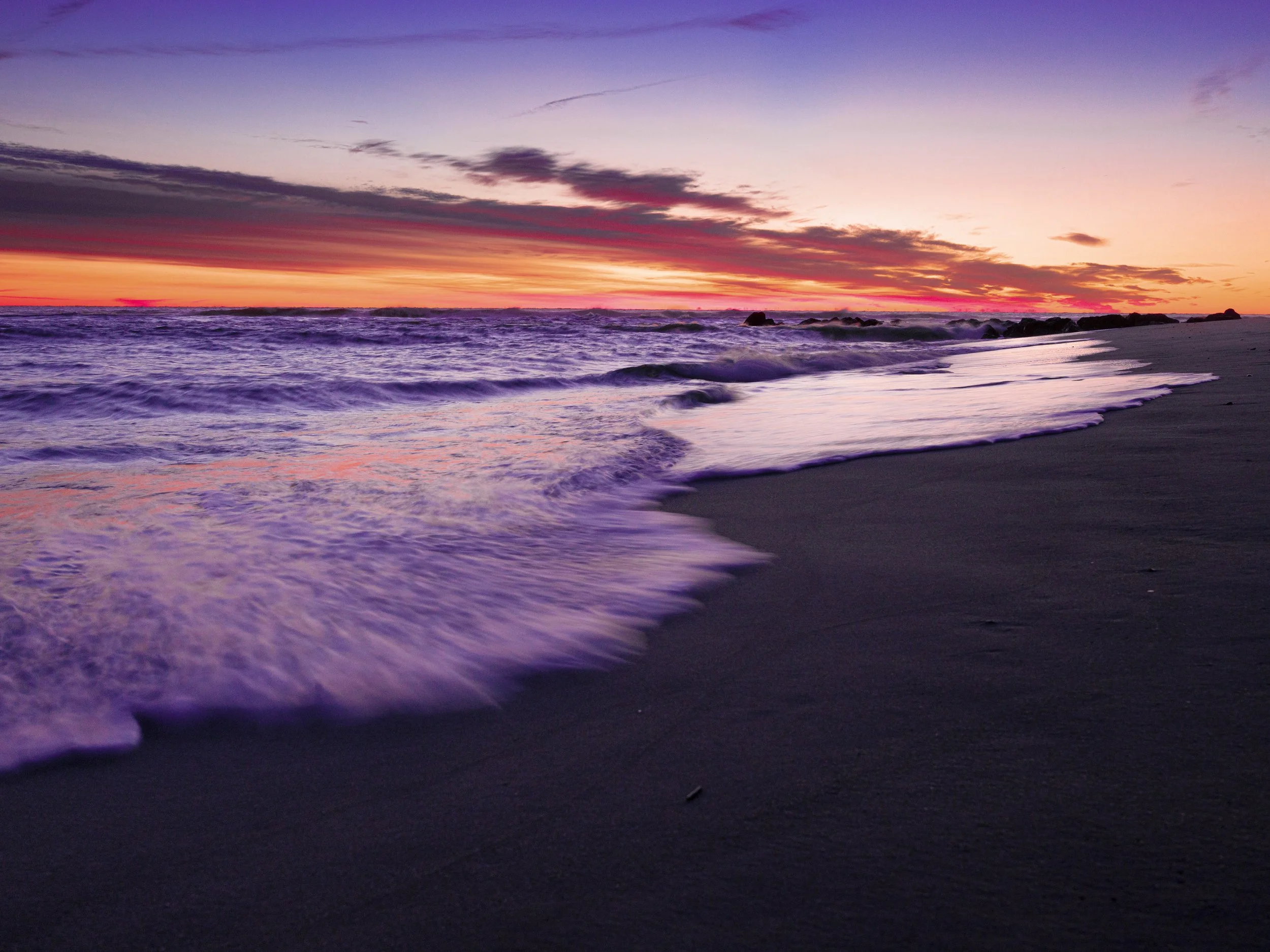 Website Export-1.jpg