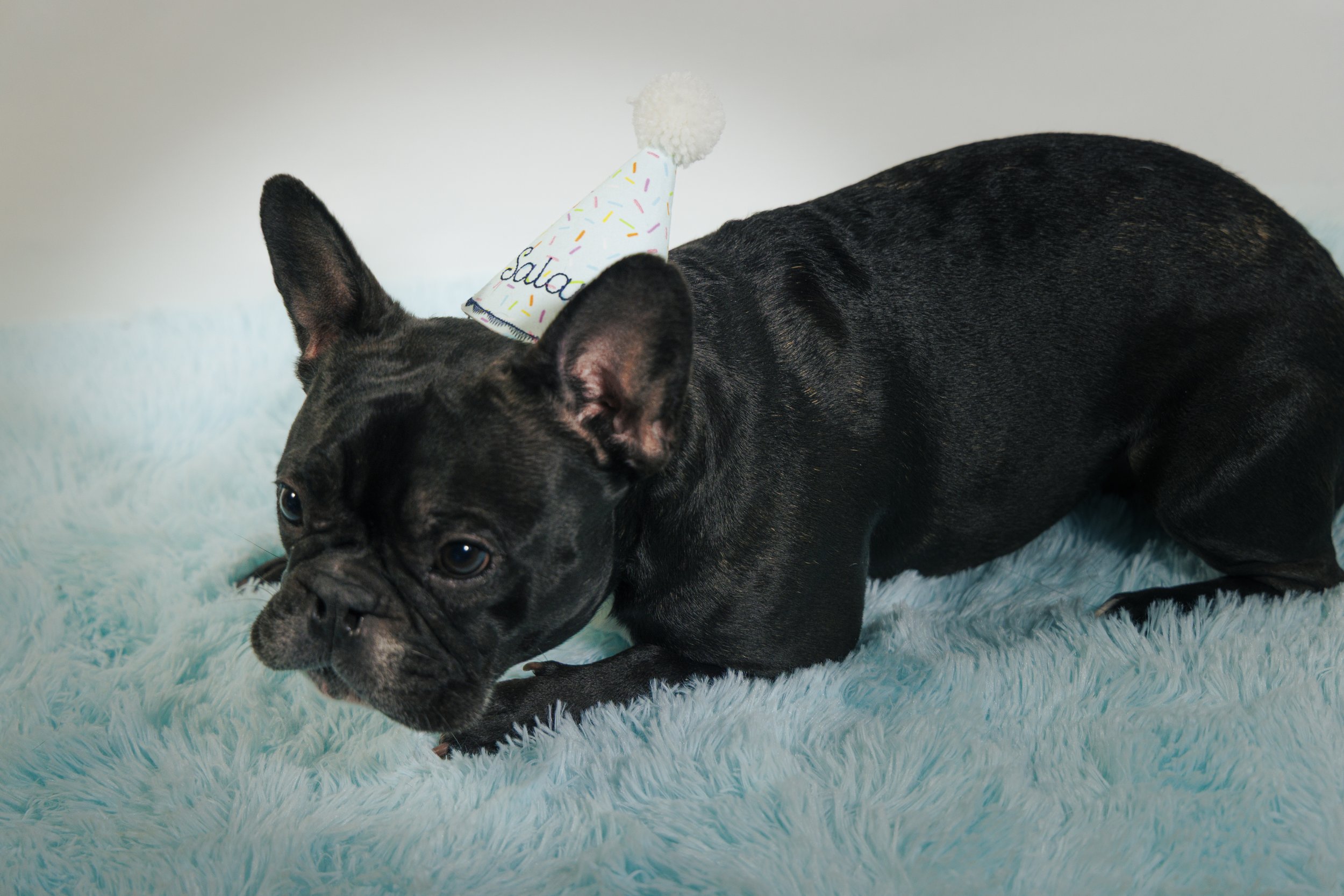 Website Export-1-9.jpg