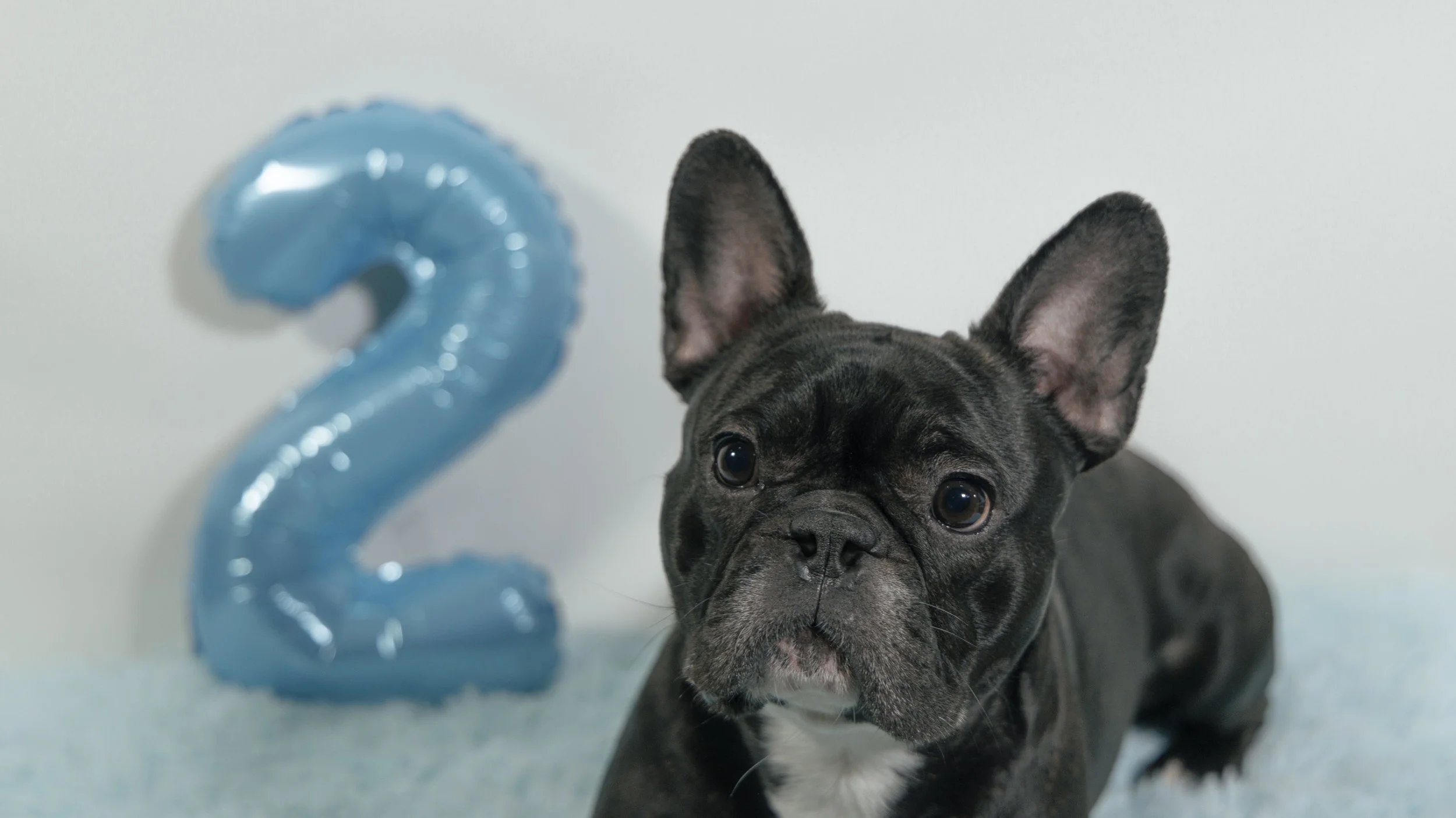 Website Export-1-10.jpg