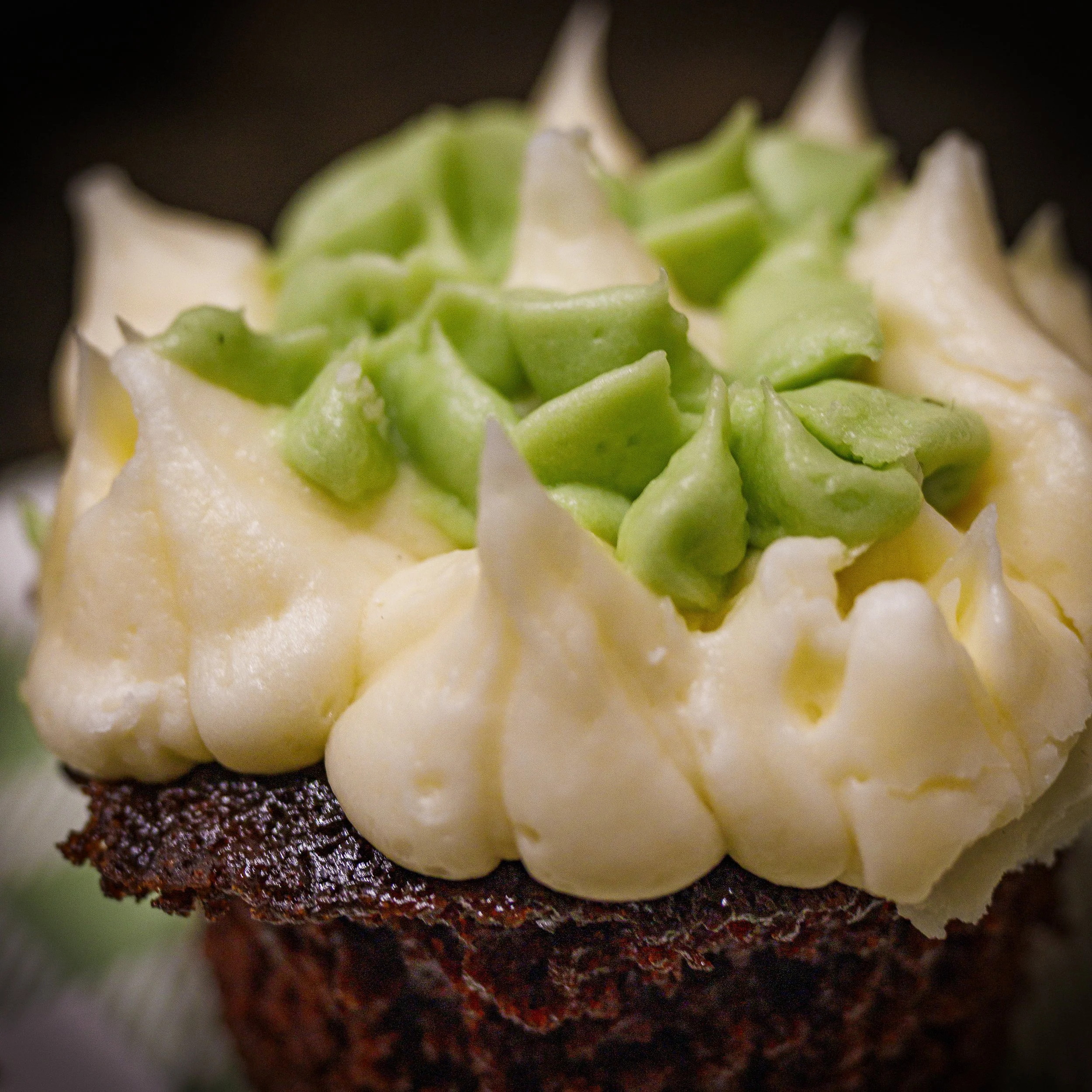 Website Export-1-4.jpg