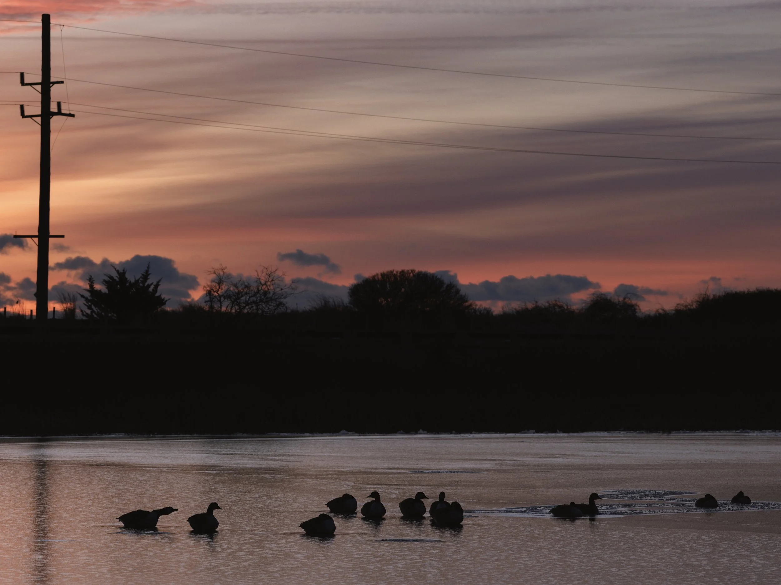 Print Store Export-1-7.jpg