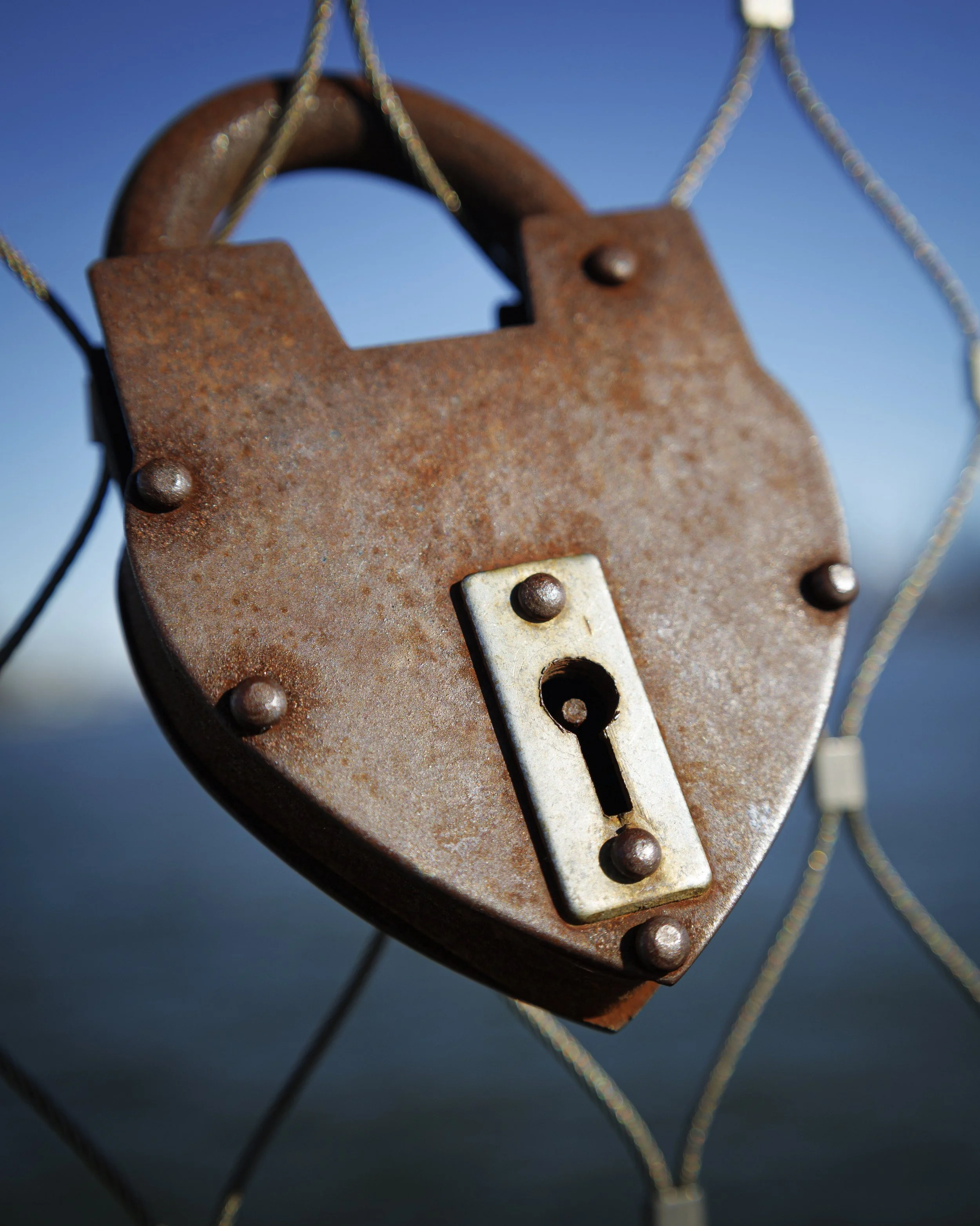 November 25th, 2025-1-2.jpg