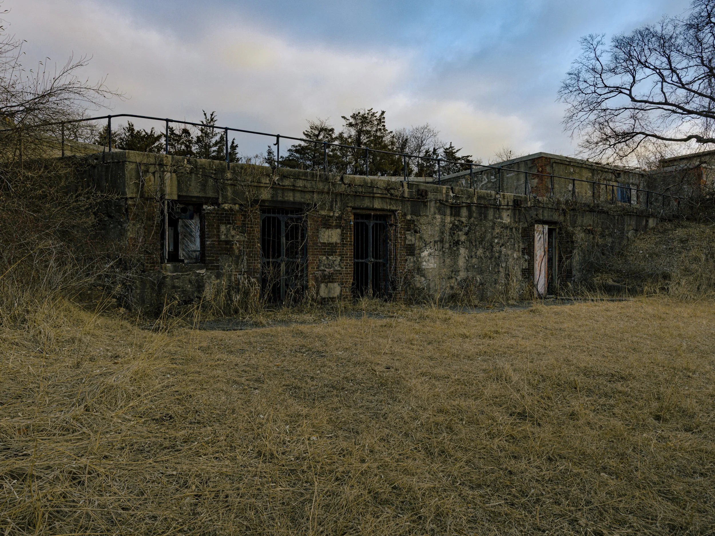 Website Export-1-16.jpg