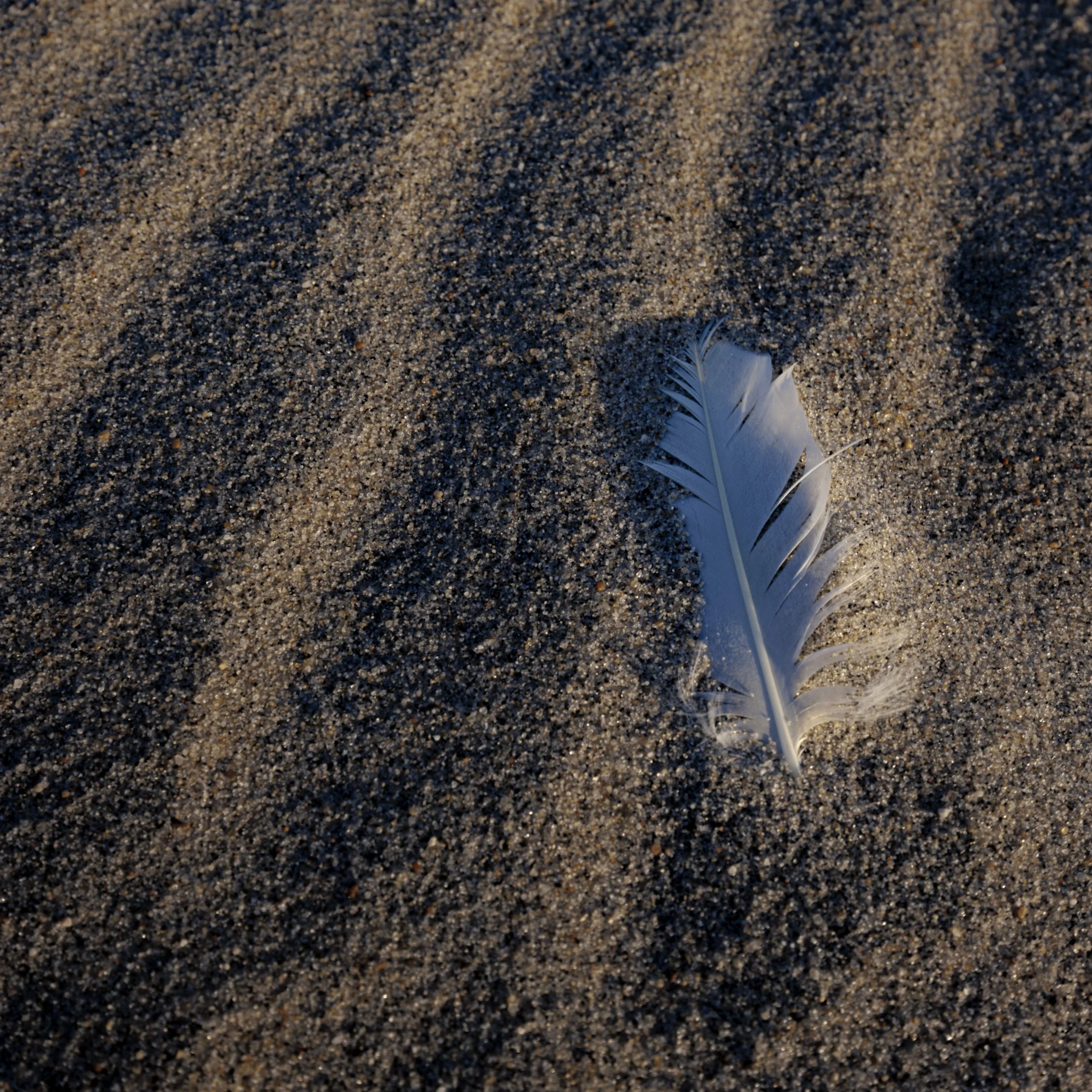 Website Export-1-3.jpg