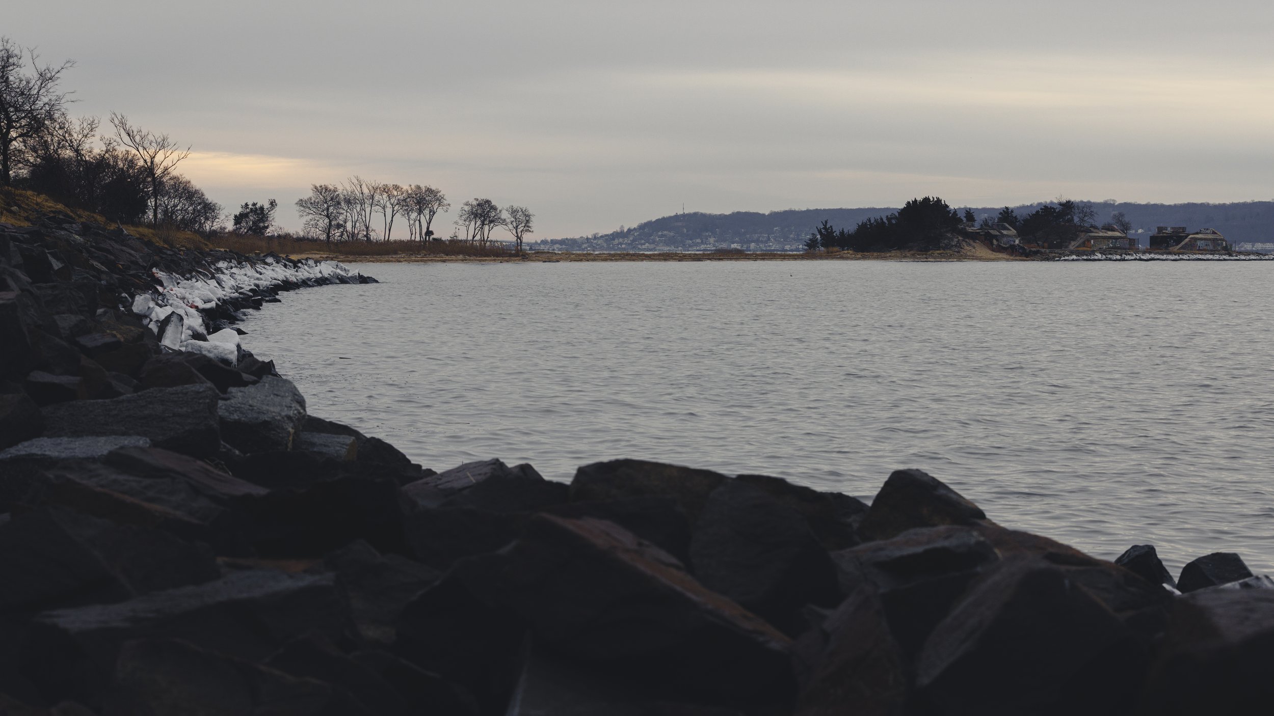 Website Export-1-15.jpg