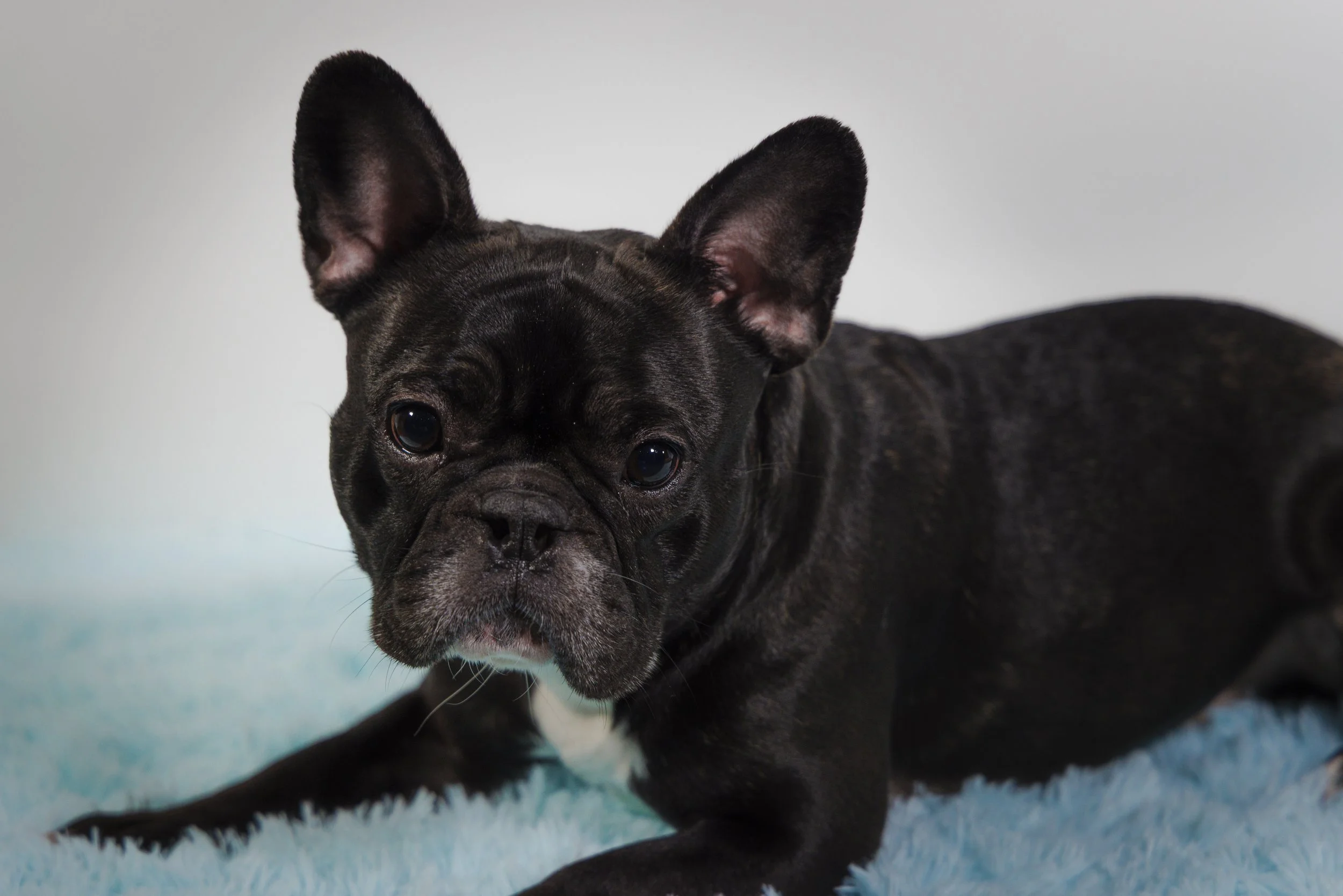 Website Export-1-13.jpg