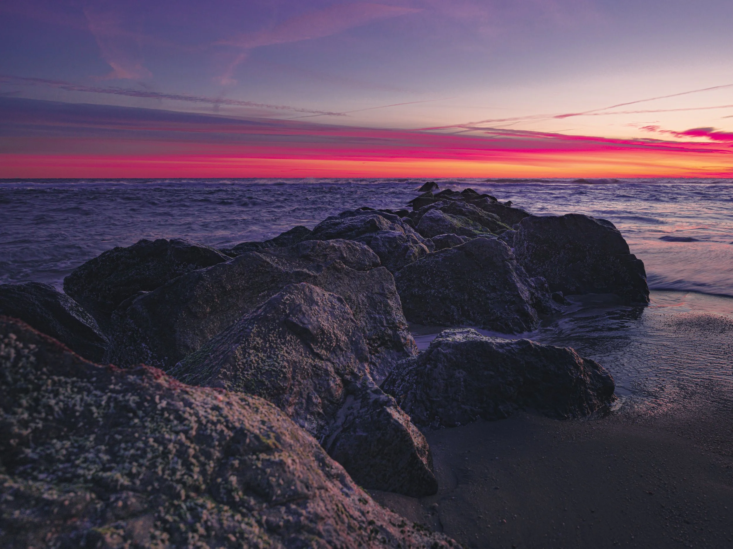 Website Export-1-8.jpg