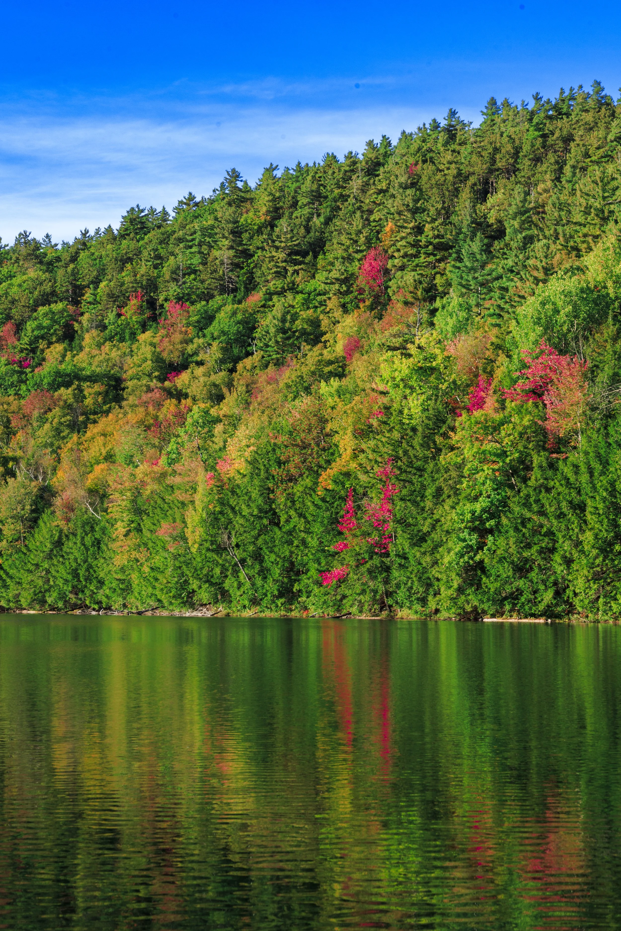 New York State Website Photos-1-15.jpg