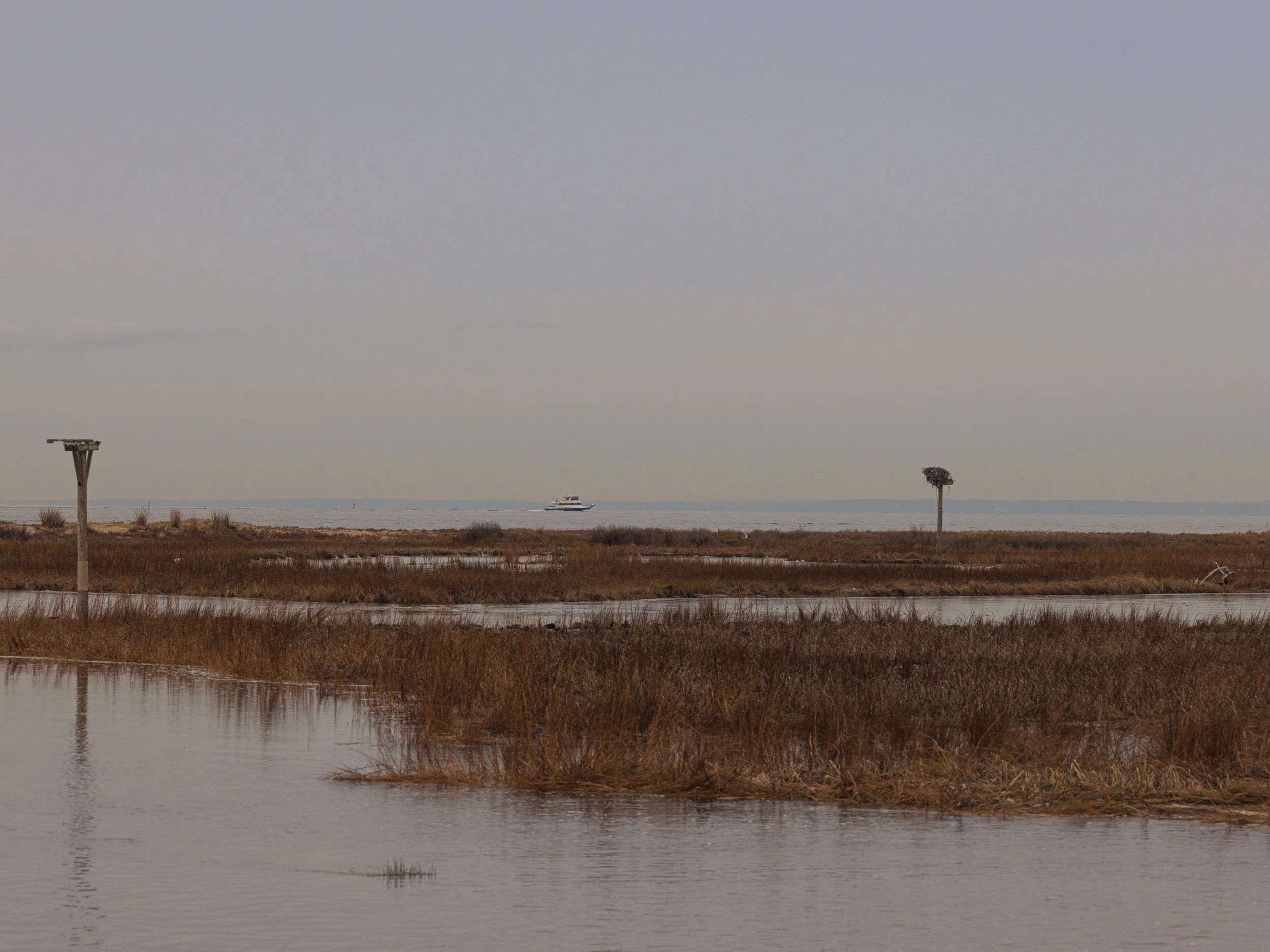 Website Export-1-14.jpg