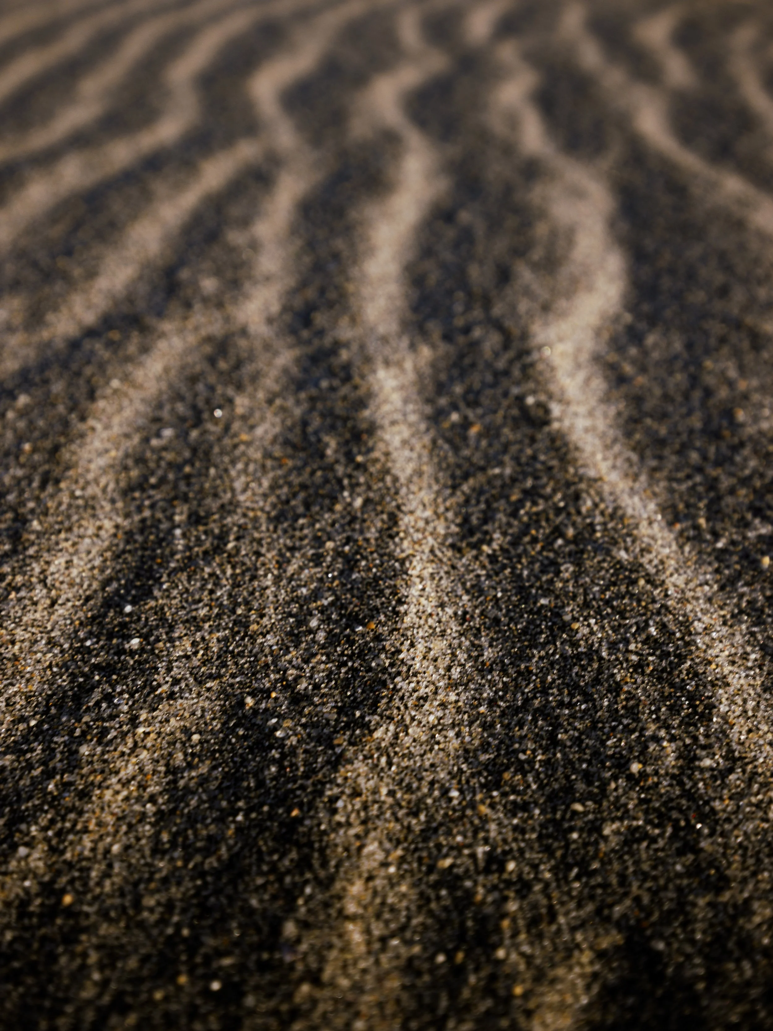 Website Export-1-6.jpg