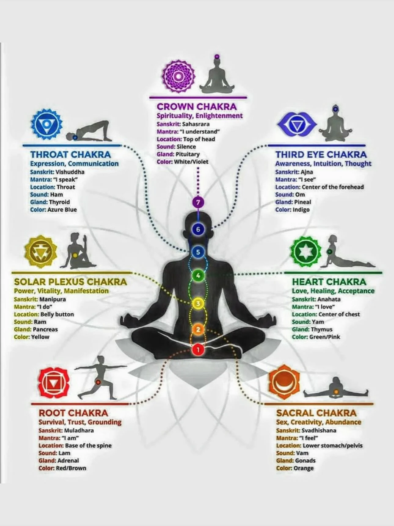 Transcendent Tuesdays✨🧘🏻&zwj;♀️

🔸Did you know, that every chakra/Energy Center in our body is associated with specific colors and sounds? Which in turn, creates a powerful connection that supports the energy flow in our bodies and overall wellbei