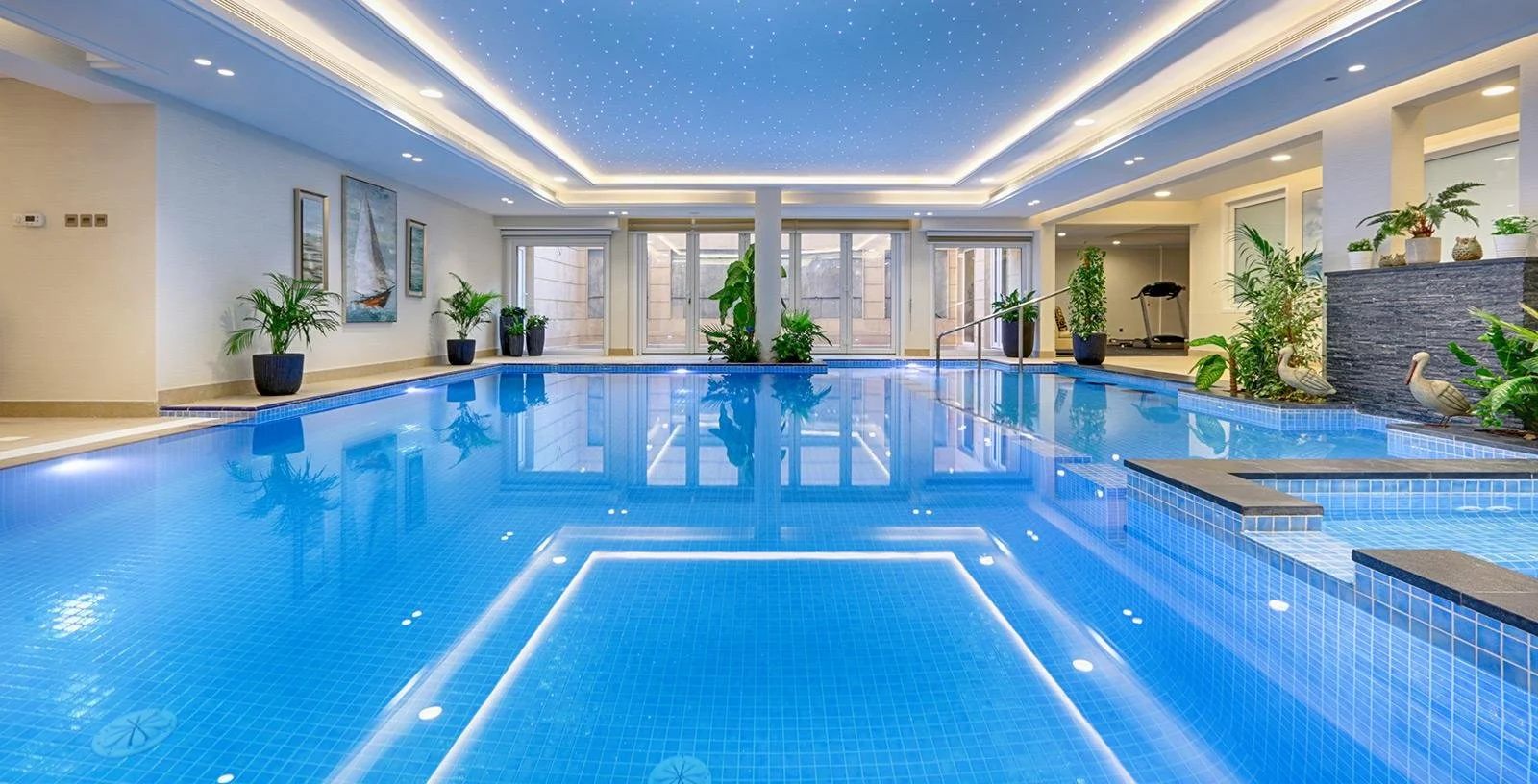 Pool Inspo-Sarasota Pool Contractor-Chosen Pool and Spa.jpeg