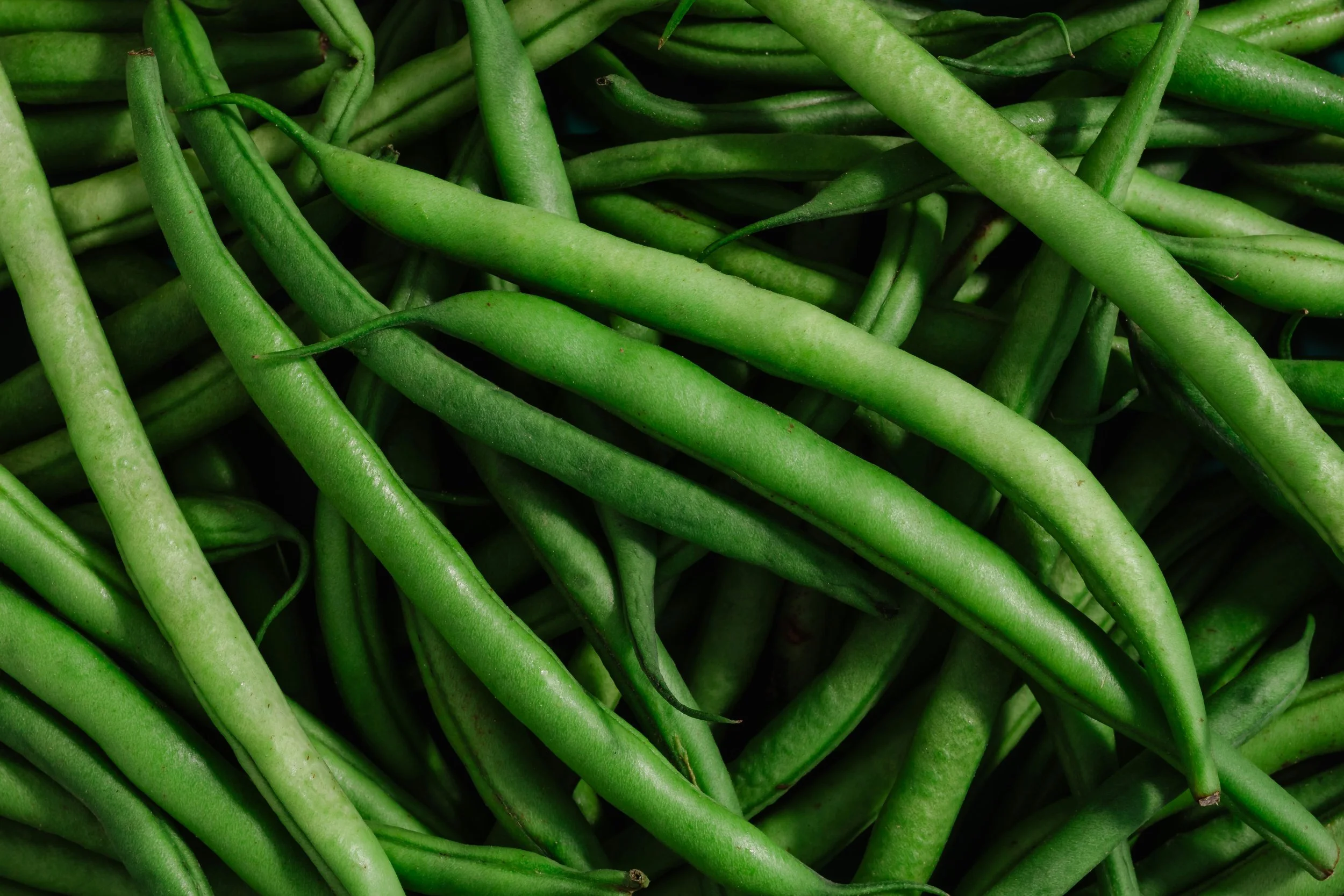 Close-up of fresh green beans piled together.
