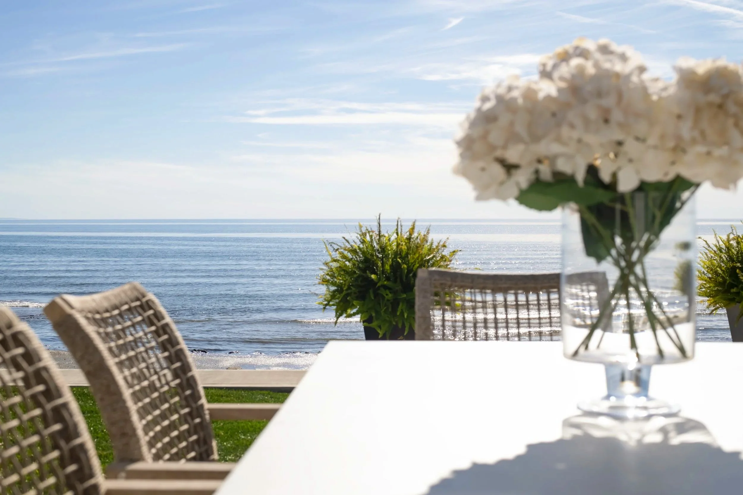 A sandy beach with calm water, blue sky, and distant land, with two large potted plants on a concrete pathway in the foreground.