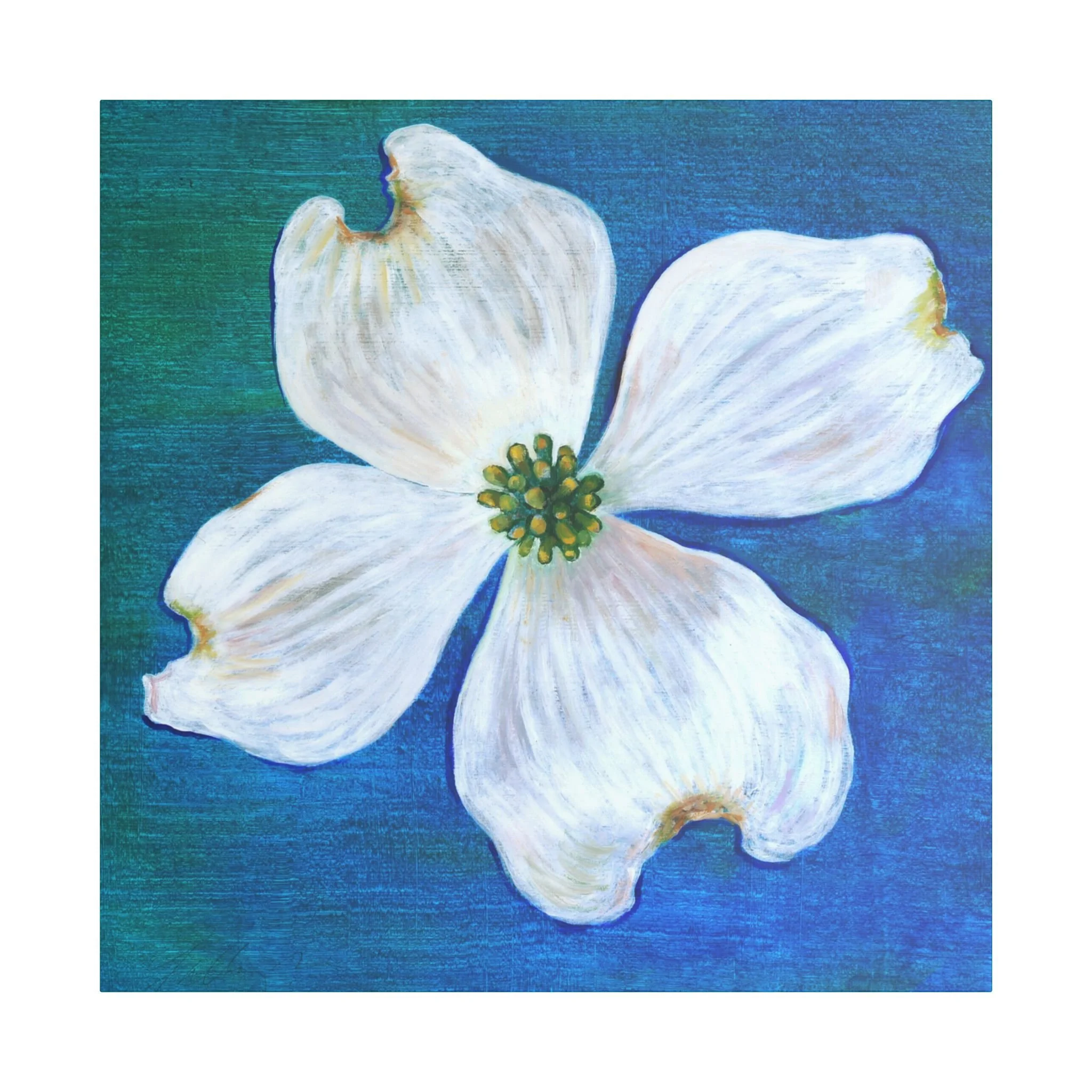 White Dogwood Bloom Canvas Wall Art
