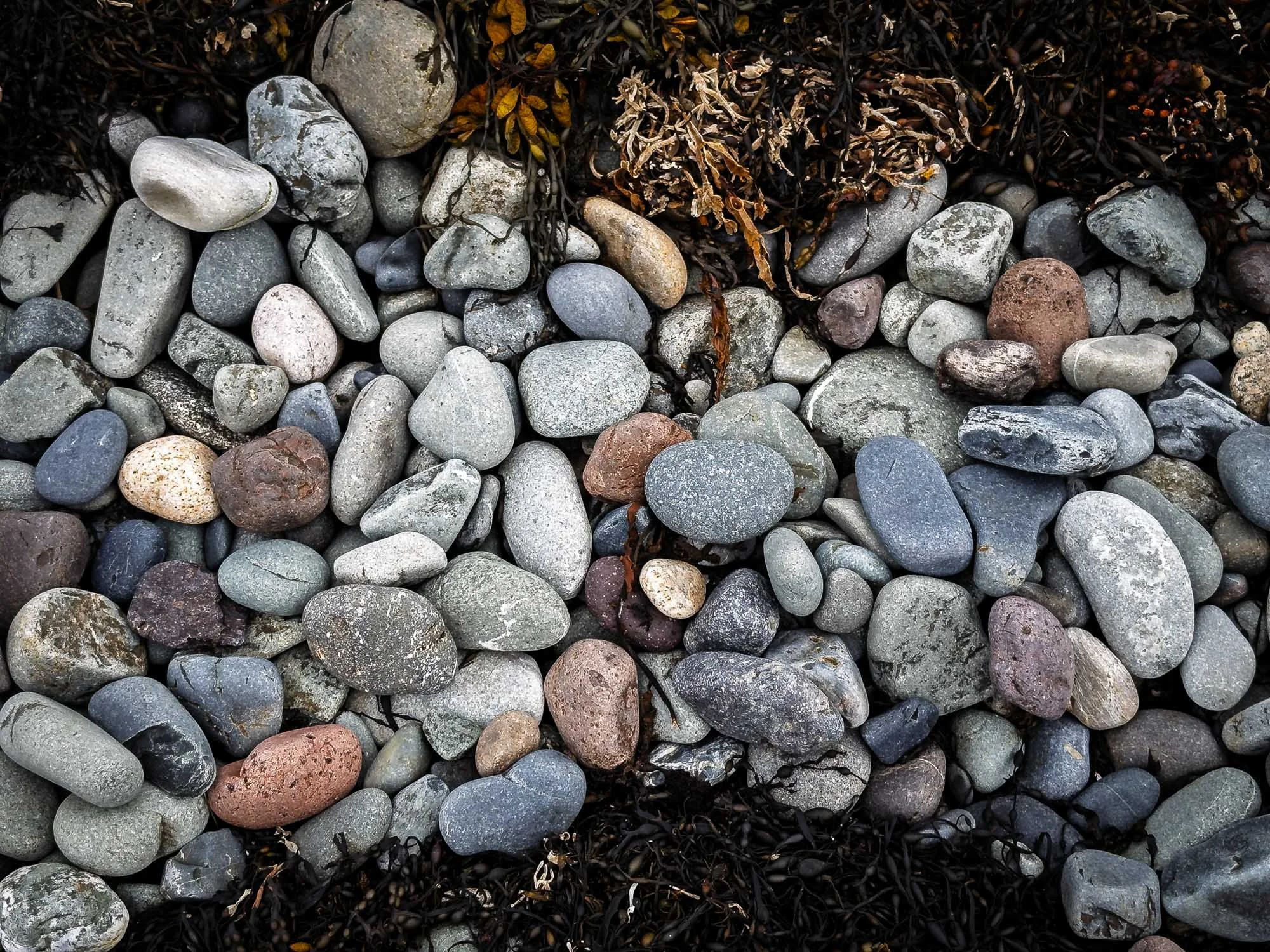 A Fellowship of Stone and Tide