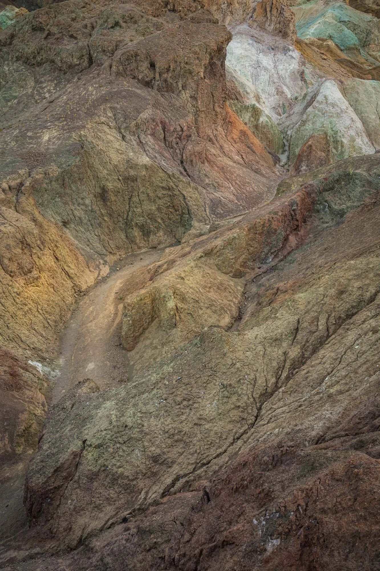 Where Time Wears the Earth