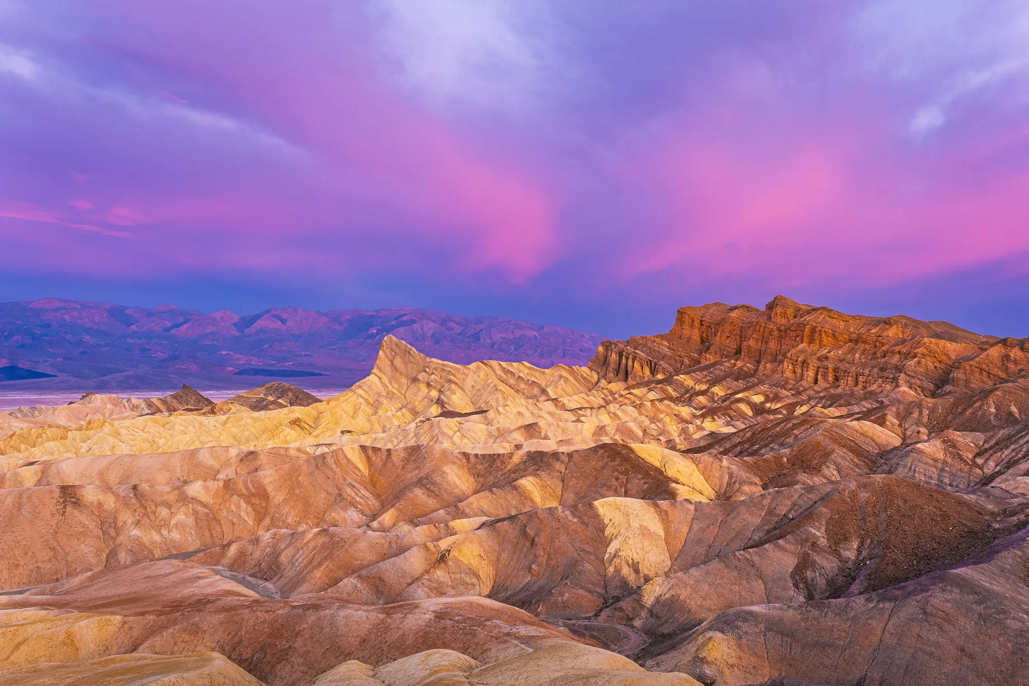 Where the Desert Takes to Air