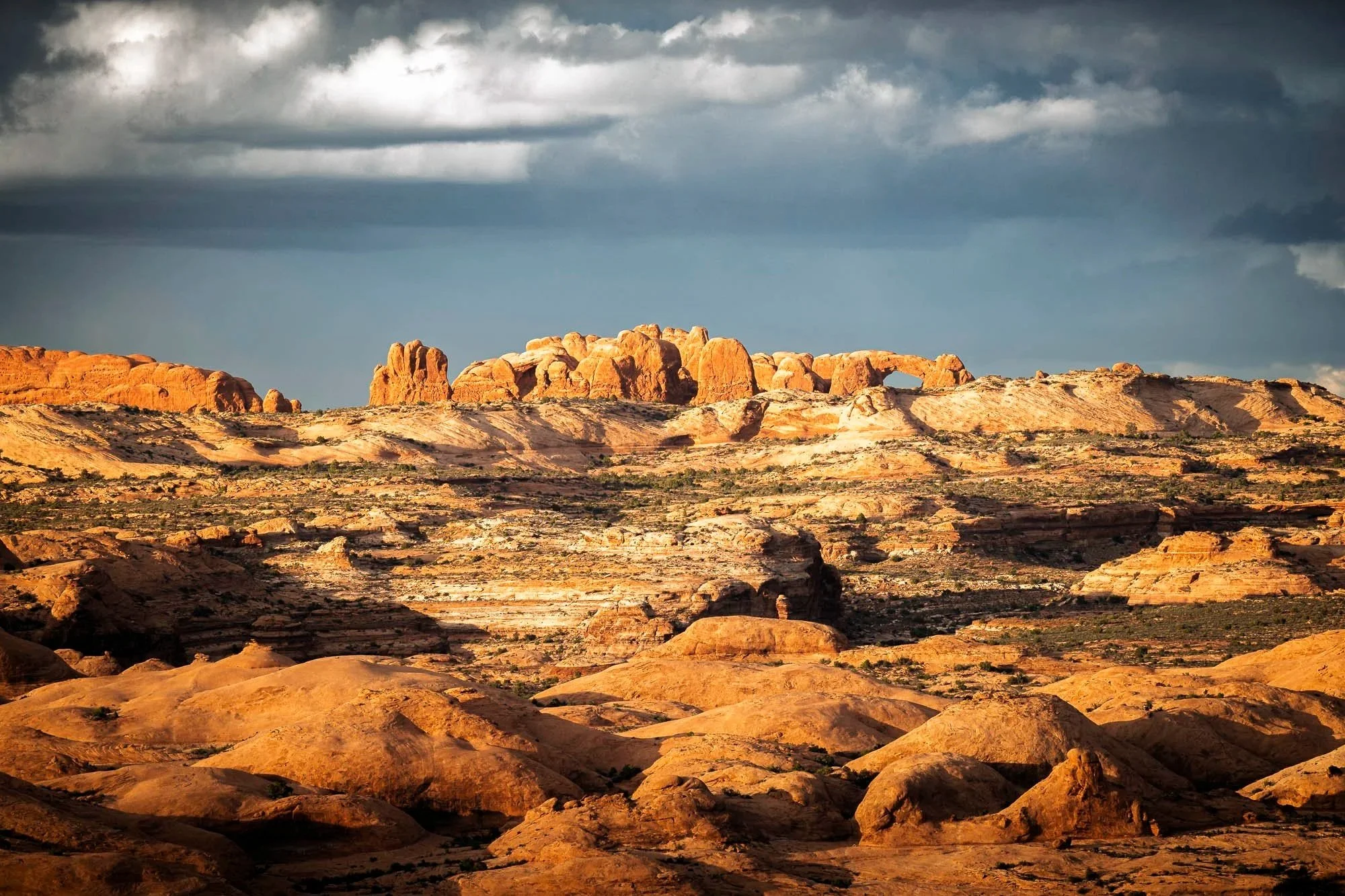 Where Life Endures in Stone--Arches National Park