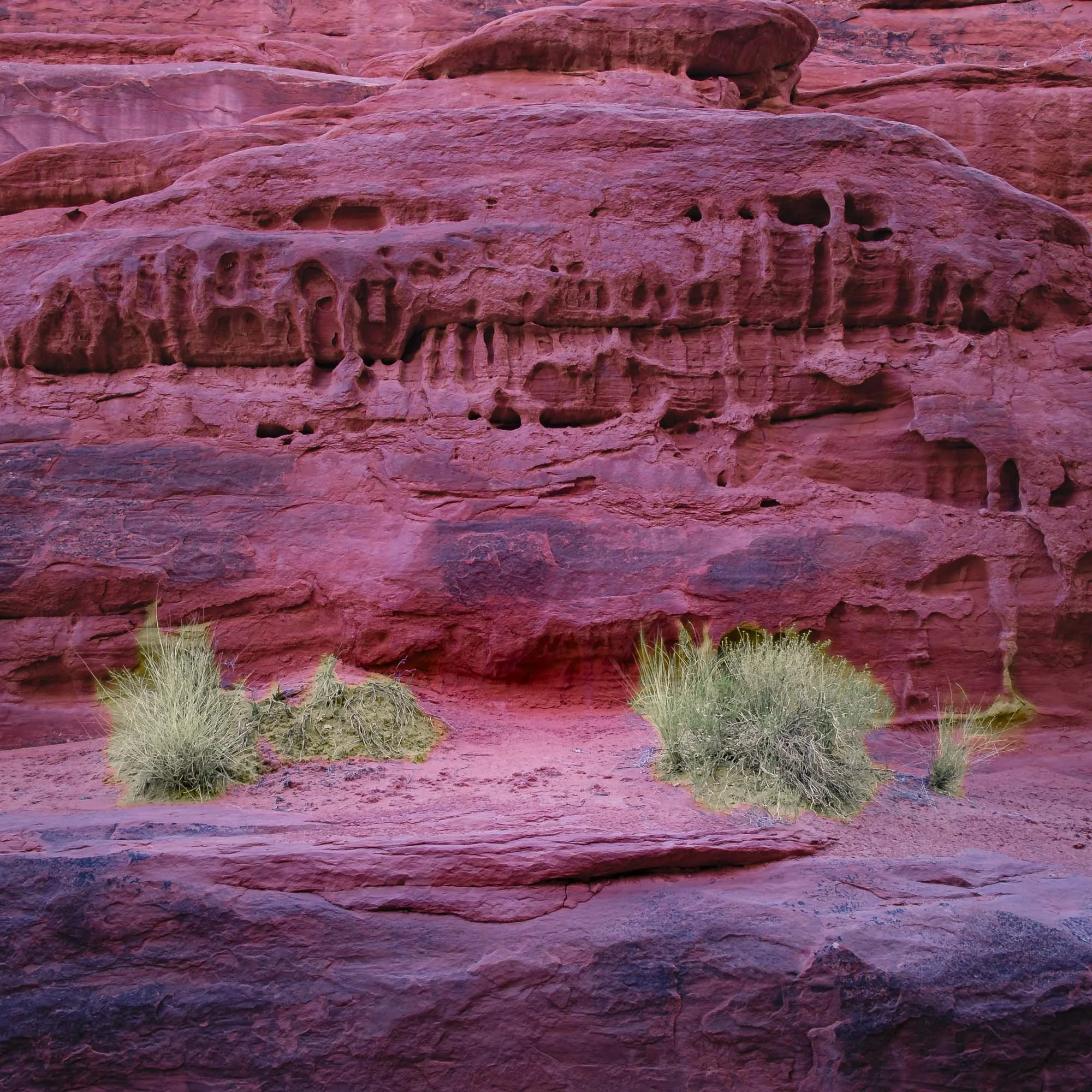 Where Red Stone Shelters Winter