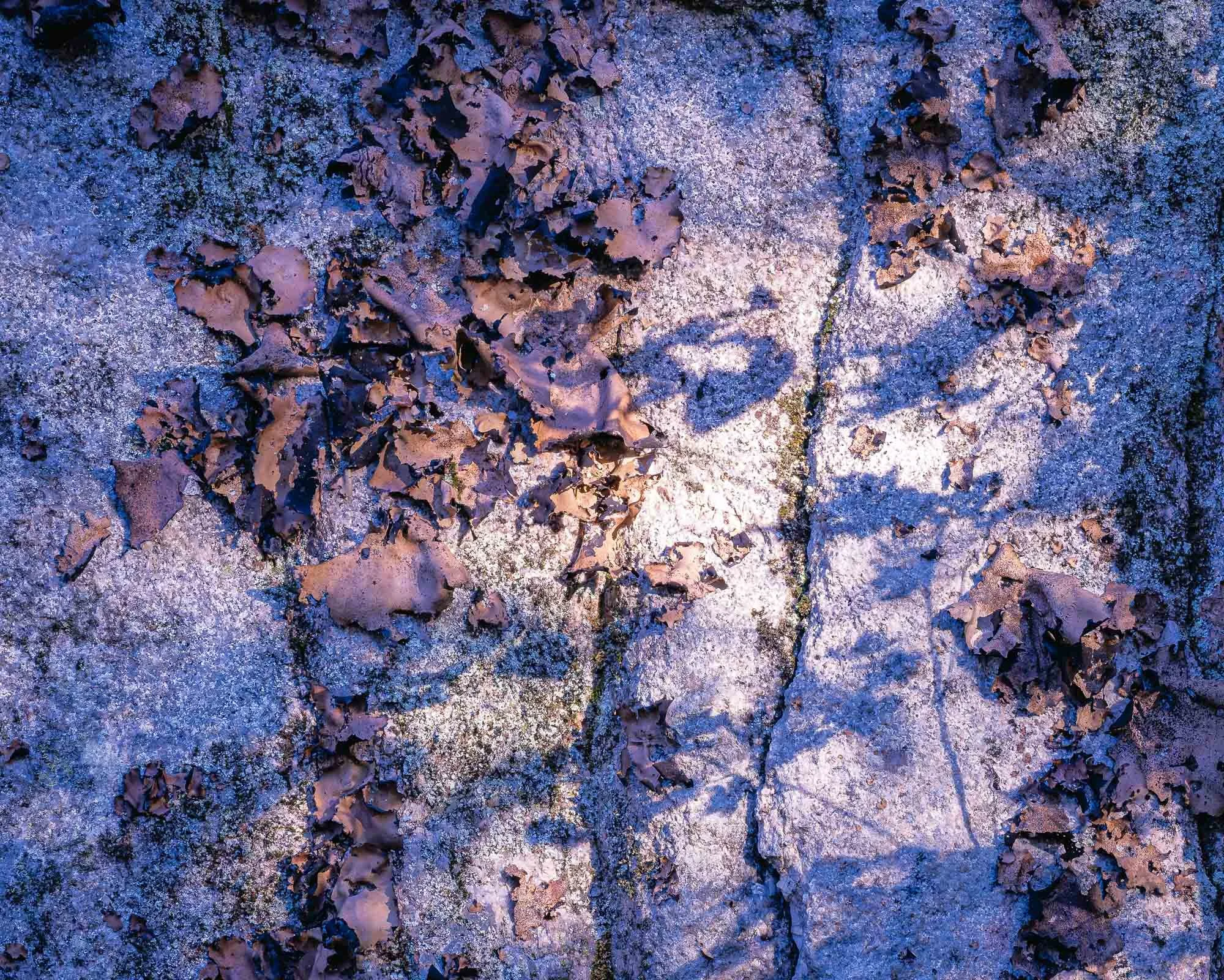 Where Rock Remembers the Sky