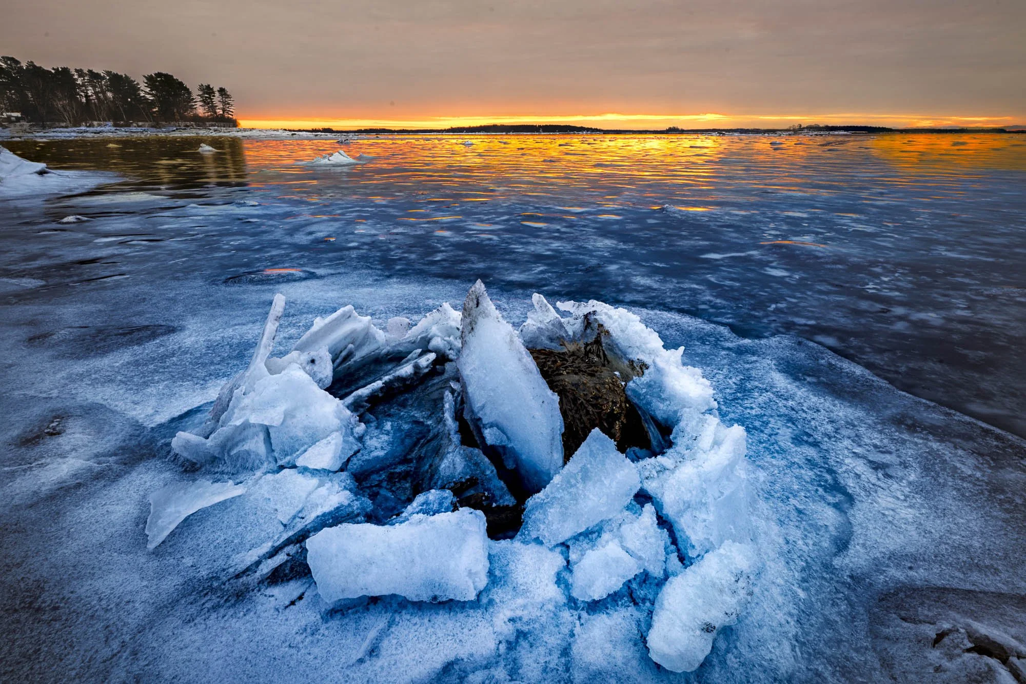 Winter Light, Maine Coast