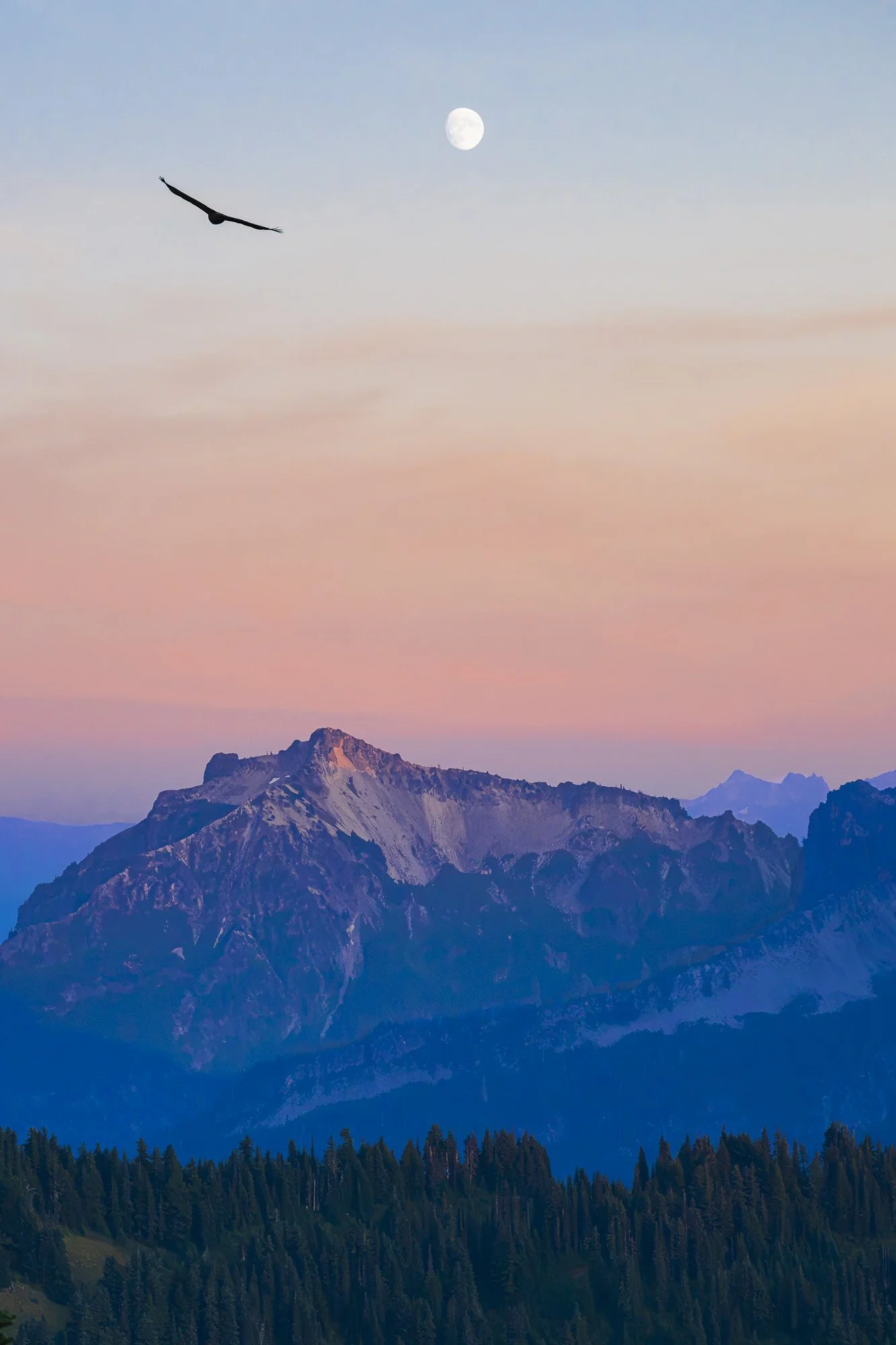 Moonrise