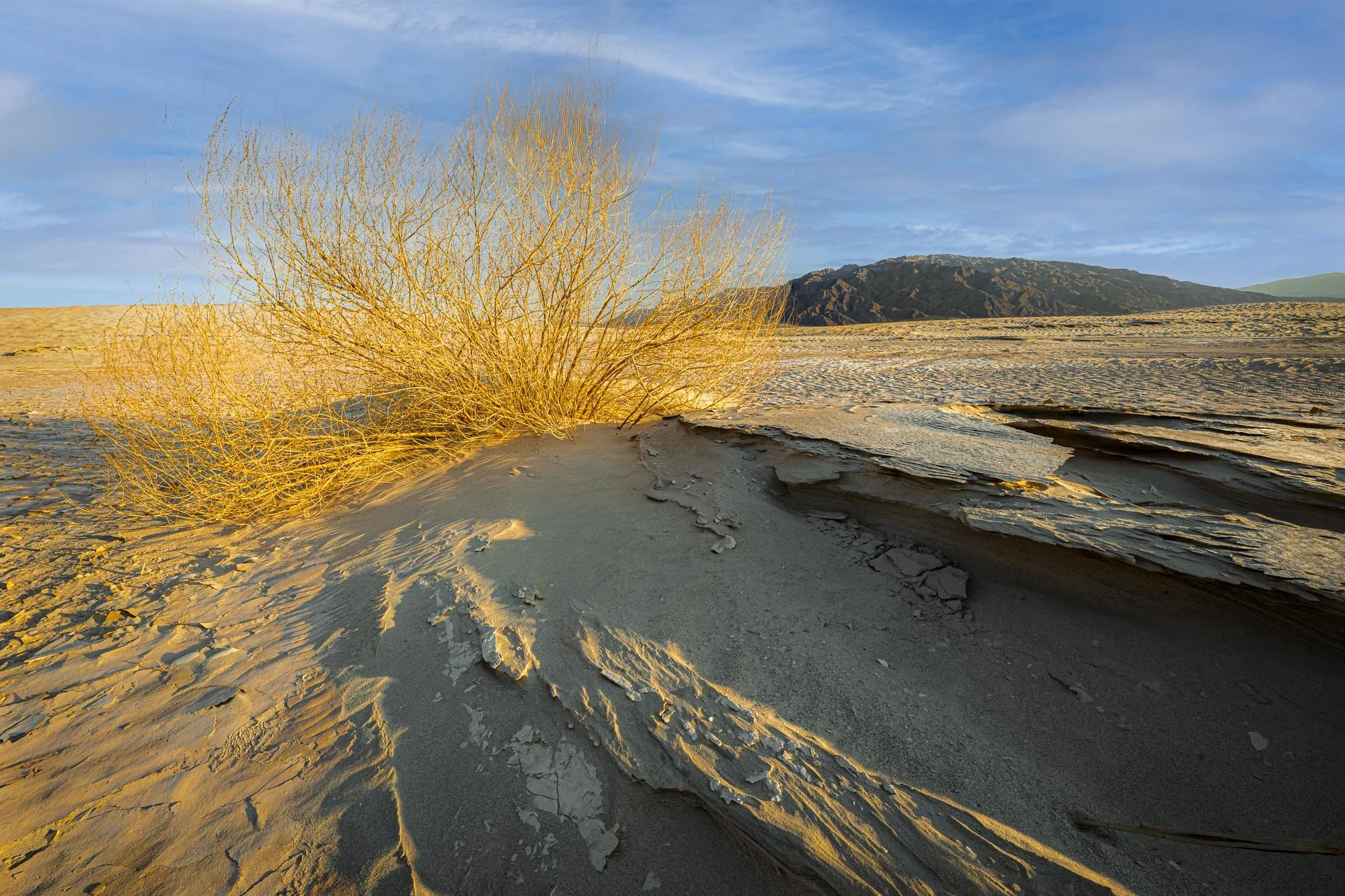 Where the Light finds the Desert