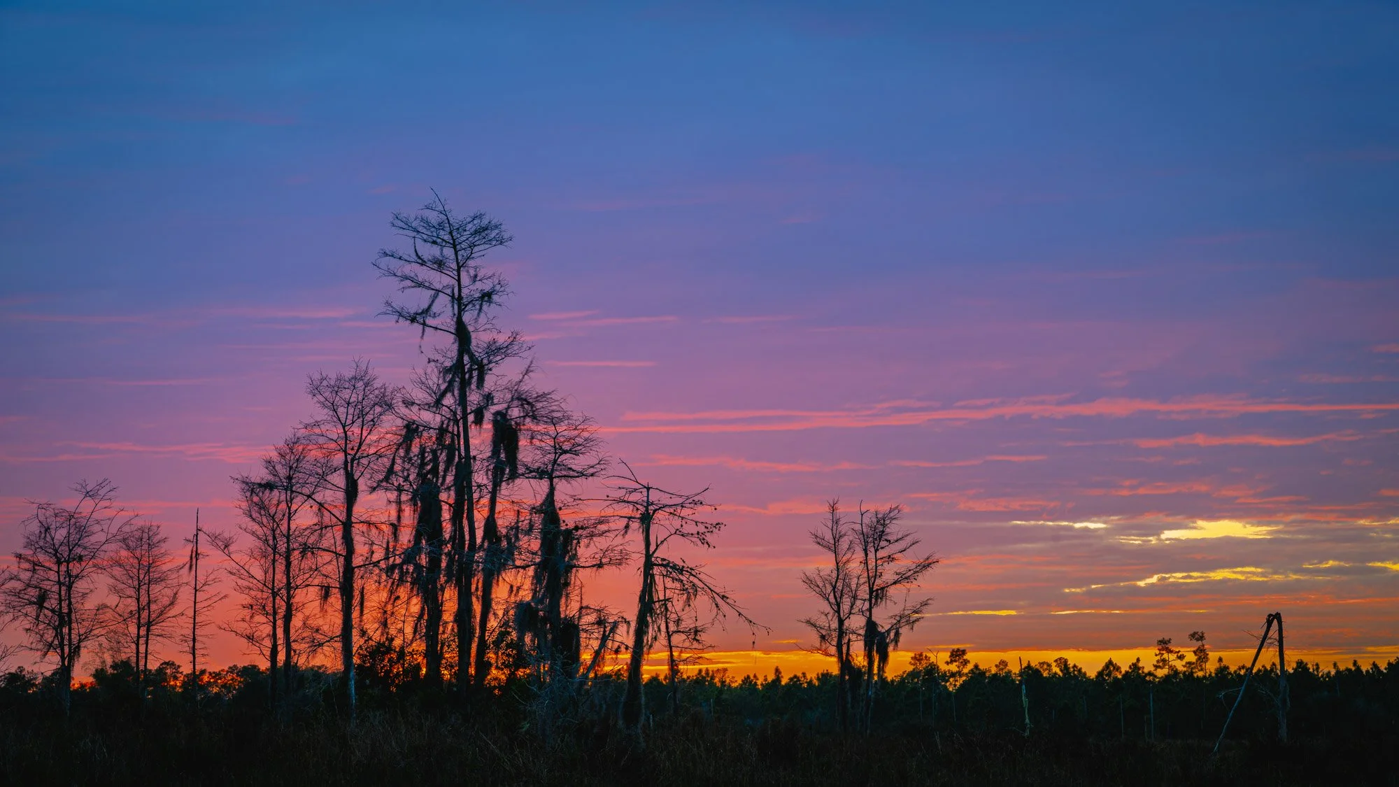 A Quiet Among Waters--The Everglades Wilderness
