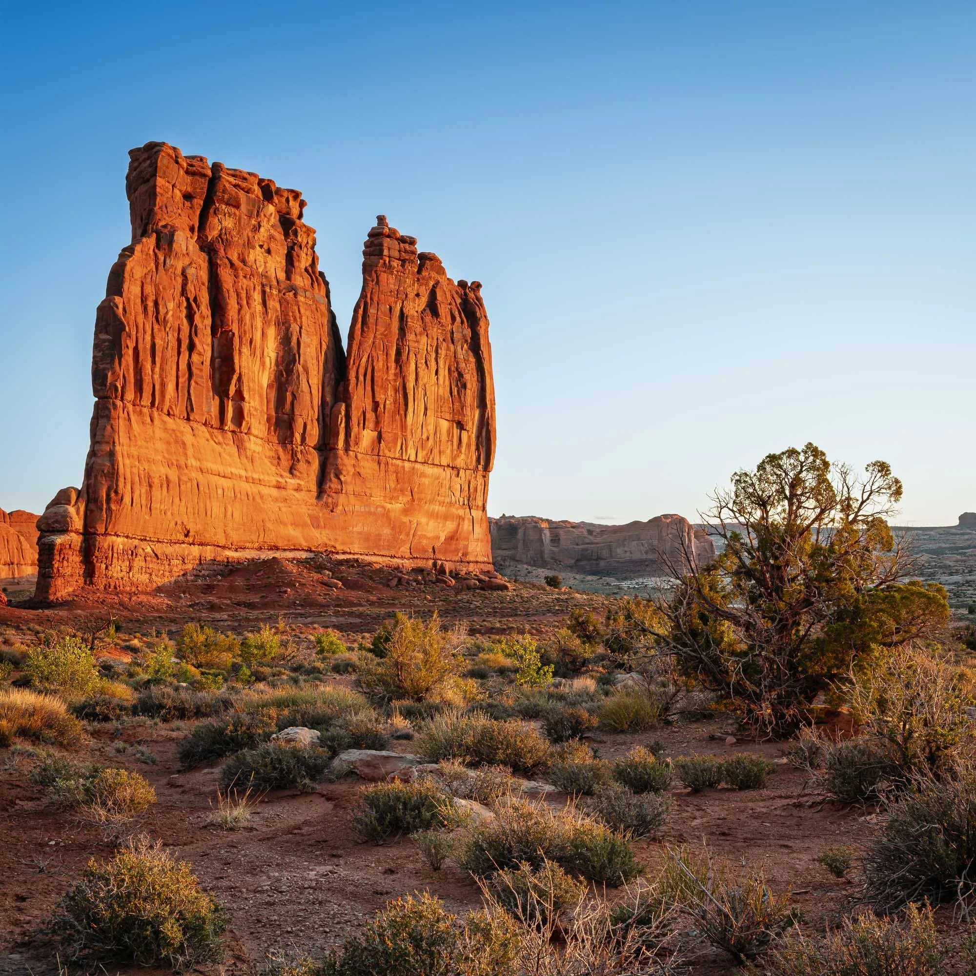The Desert Wakes