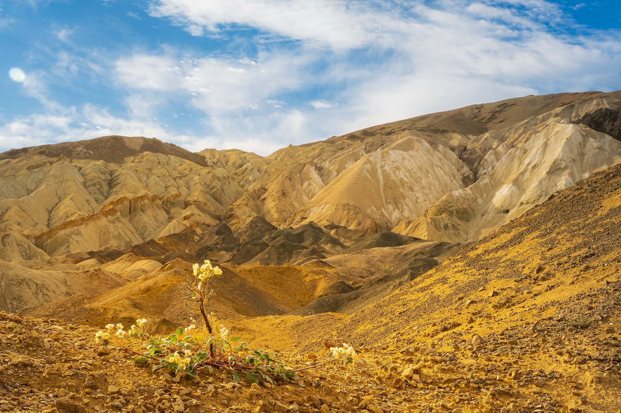 When Life Meets the Mountains