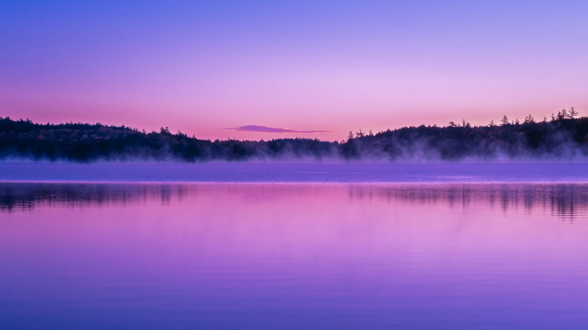 A Quiet Among Stone and Breath--The Maine Northwoods