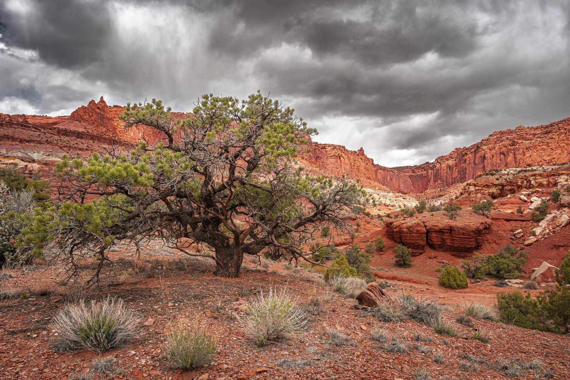 Guarded by Red Stone