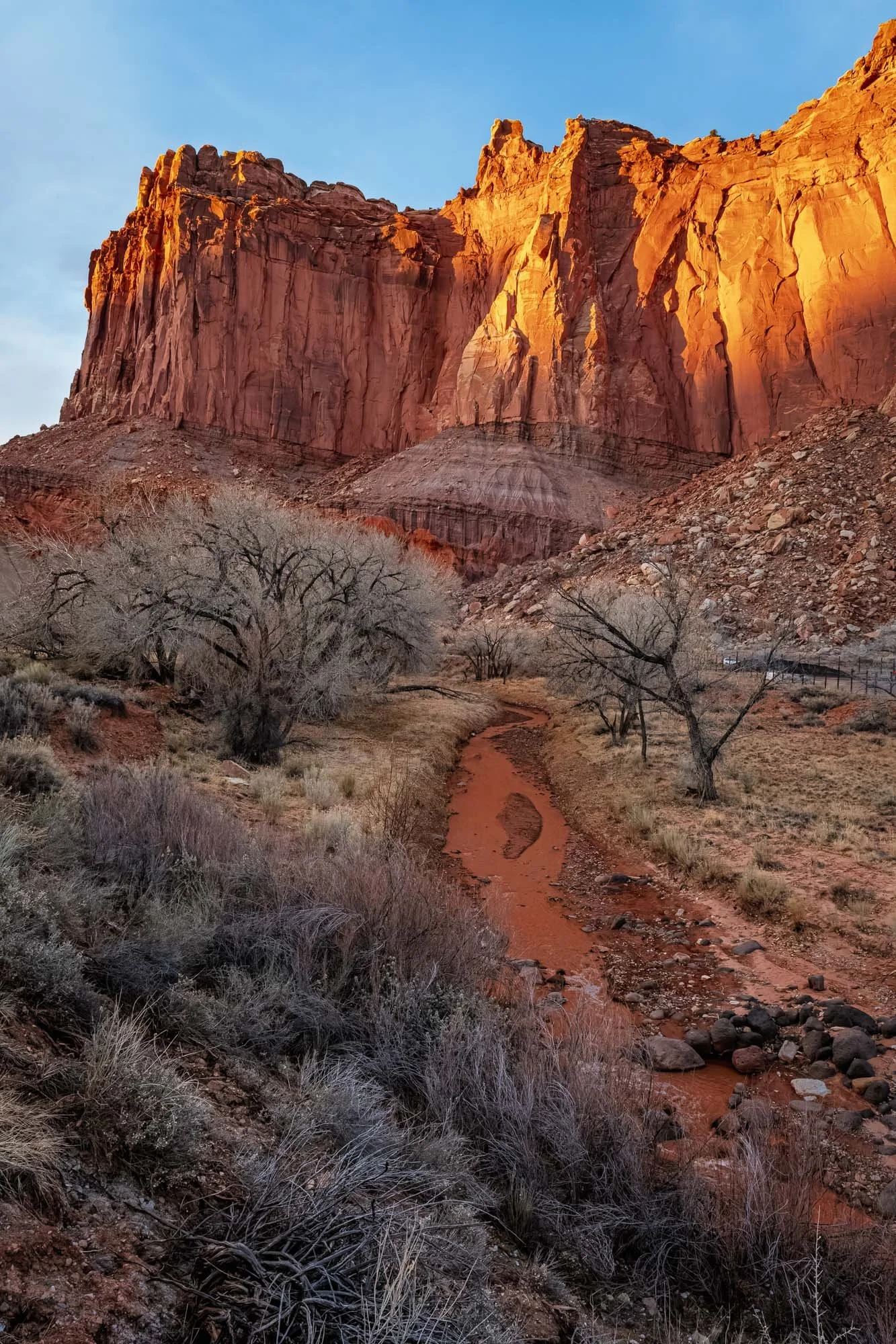 Where the Canyon Burns with Morning