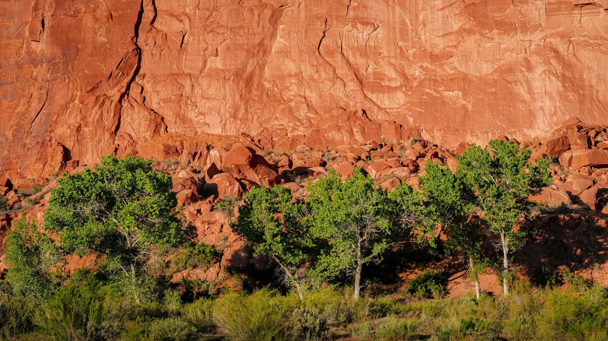 Where Green Rises Beneath Stone 
