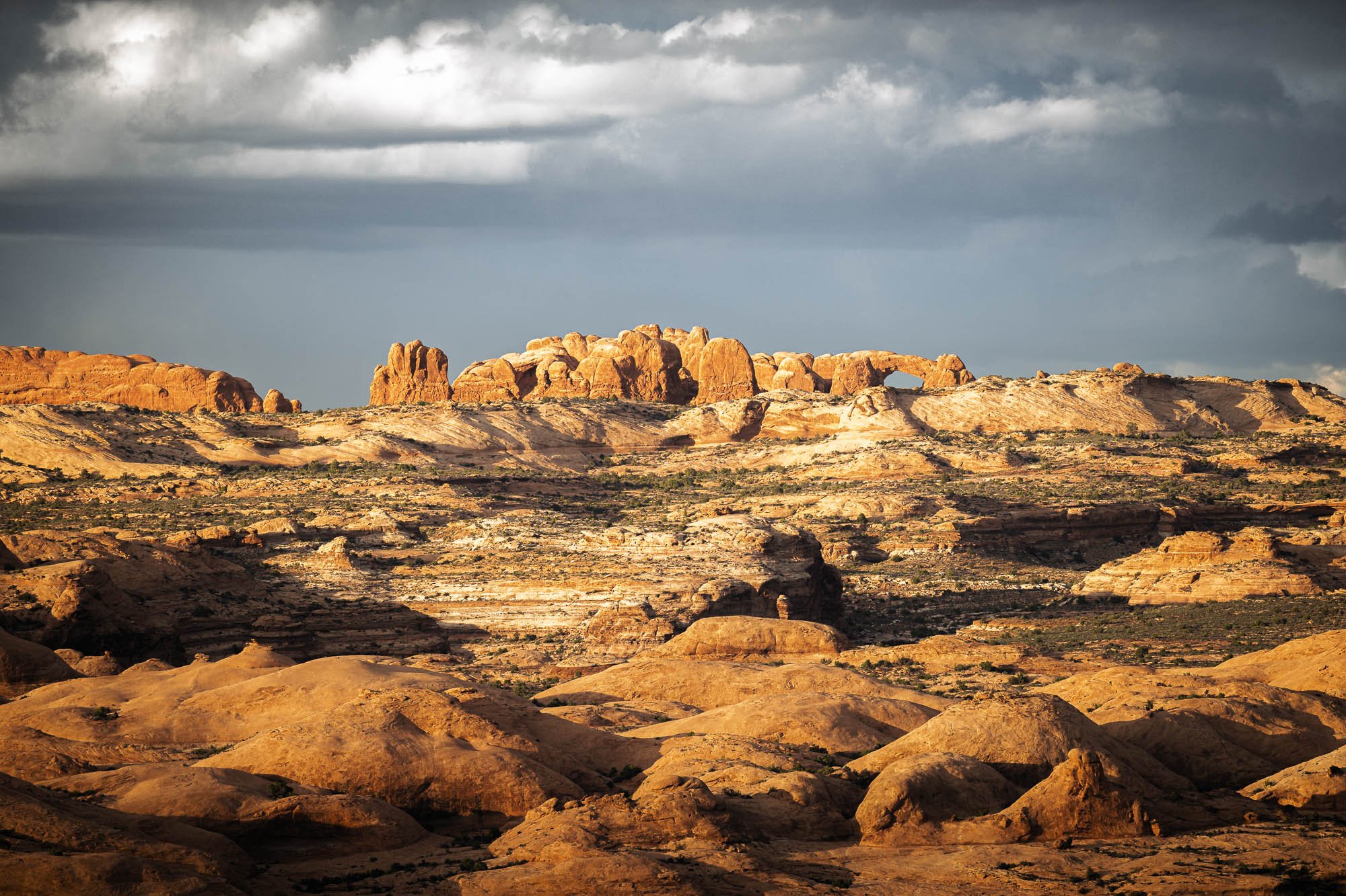 Where Life Endures in Stone--Arches National Park