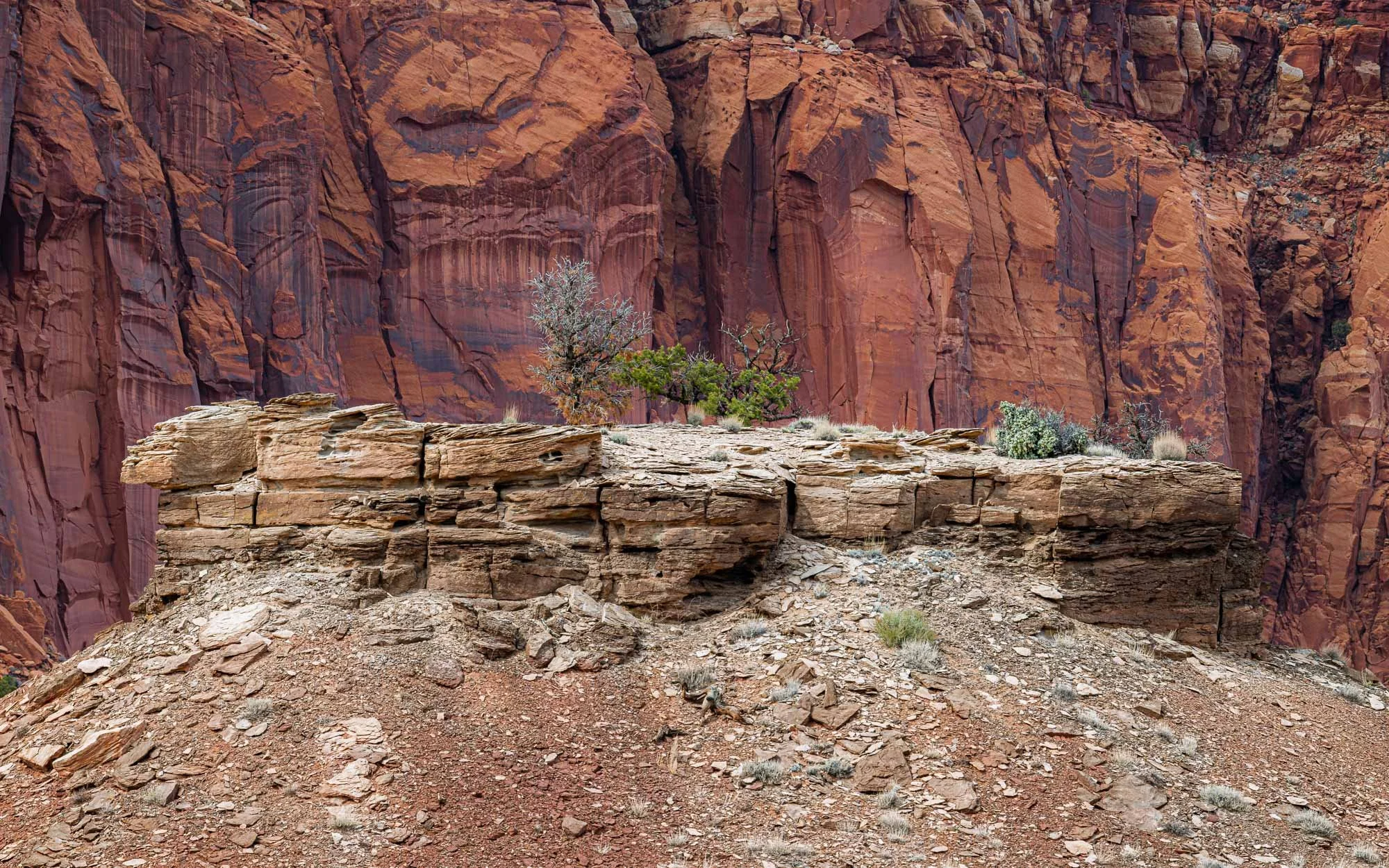 Where Stone Protects the Living