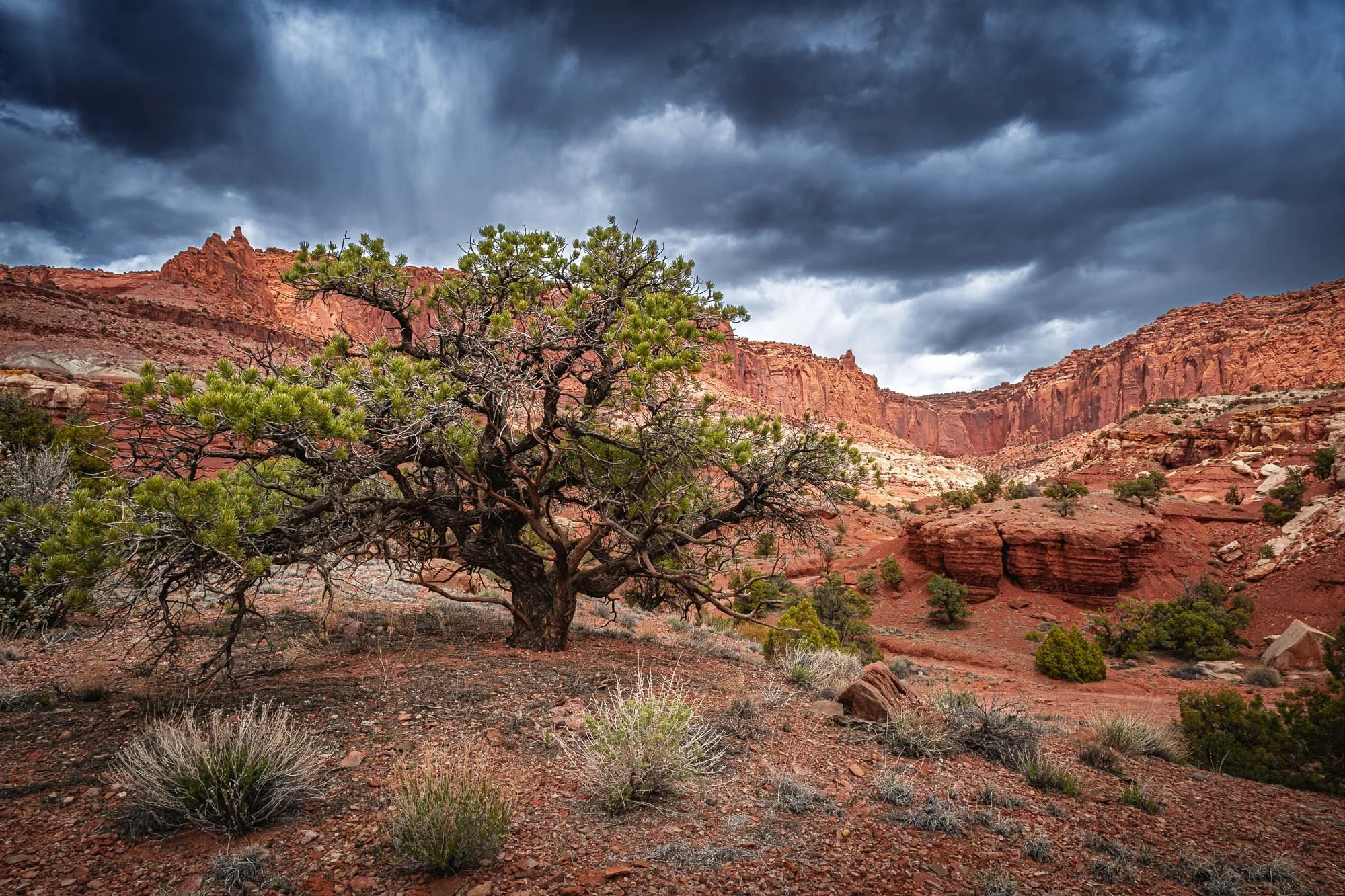 Gathering Storm