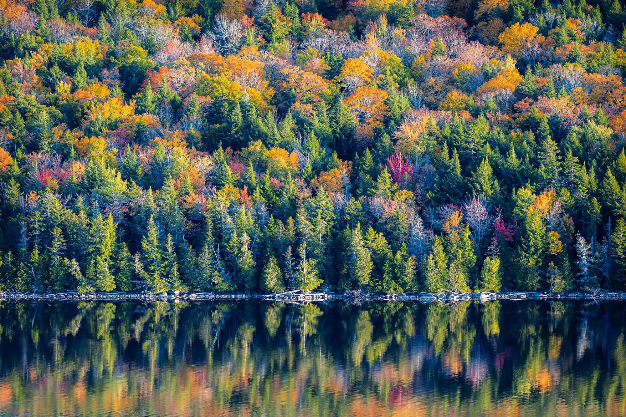 The Maine Northwoods