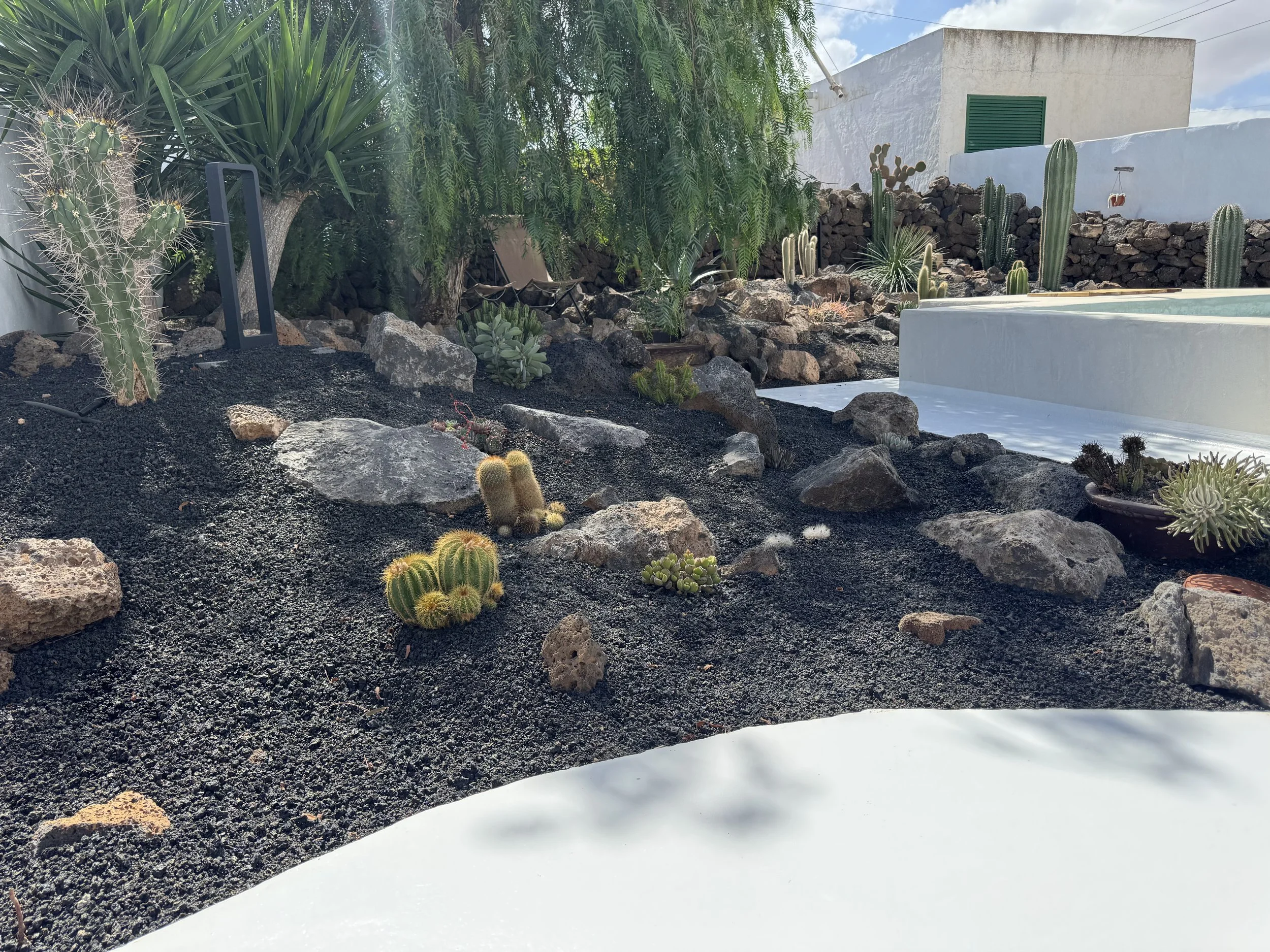 cactus garden