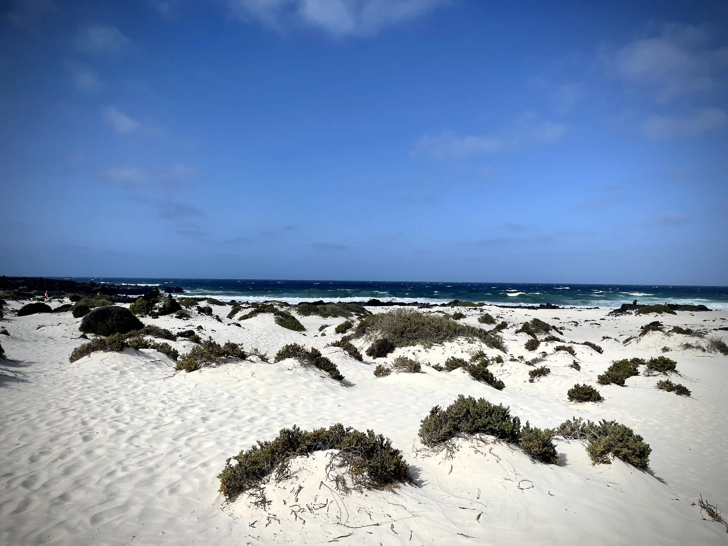 beaches and the sea