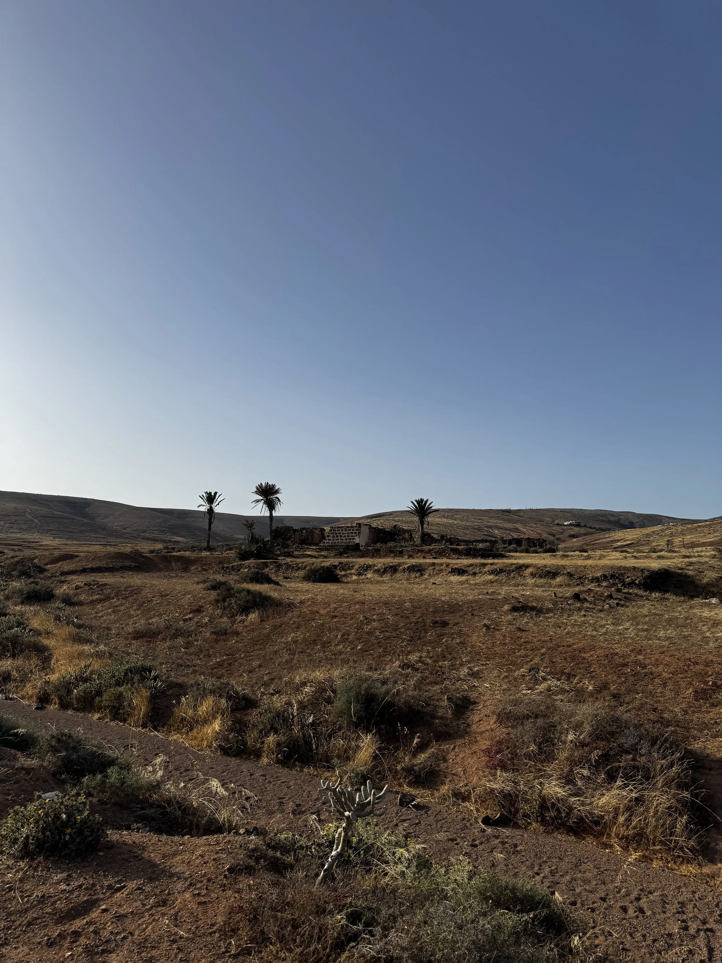 An abandoned traditional farmhouse in a quiet valley of Lanzarote.